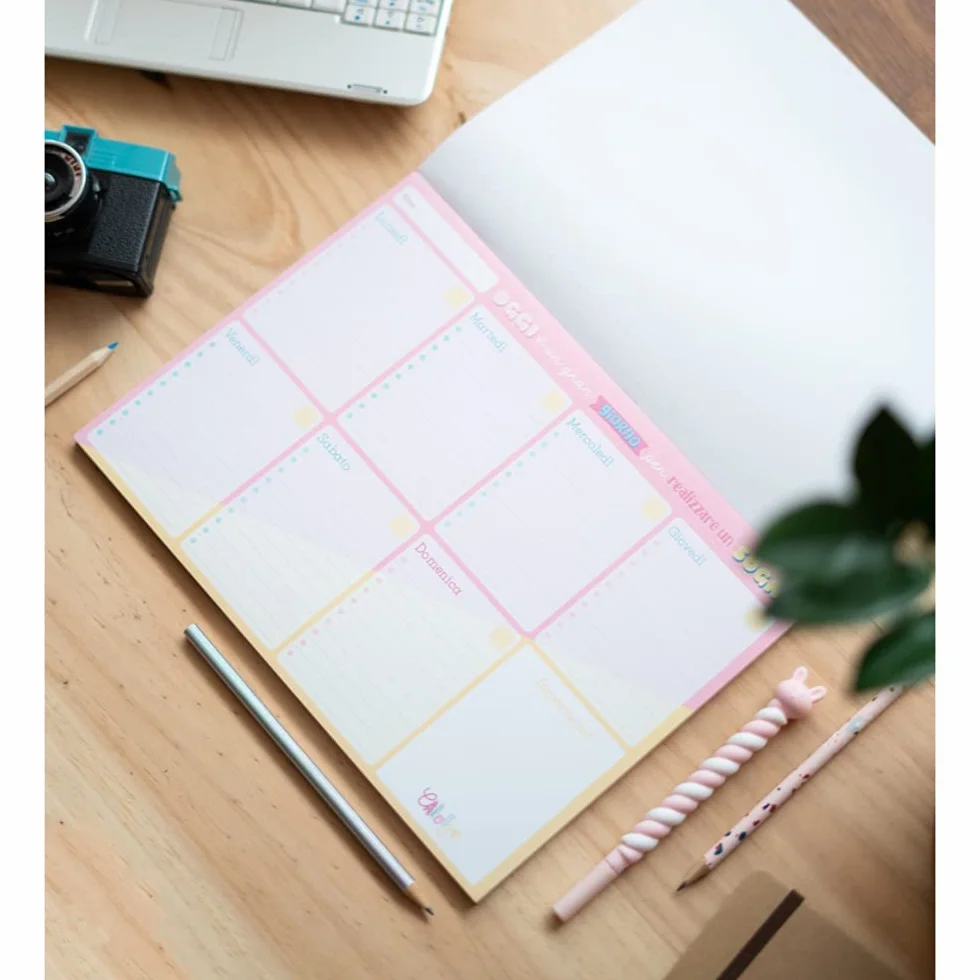 Grupo Erik Bloc Notes A4 Carouge Blue&Pink Semainier Sous-Main Bureau Planner Hebdomadaire Papeterie Bureau To Do List Blocs Mémo Fournitures Scolaires Version Italienne