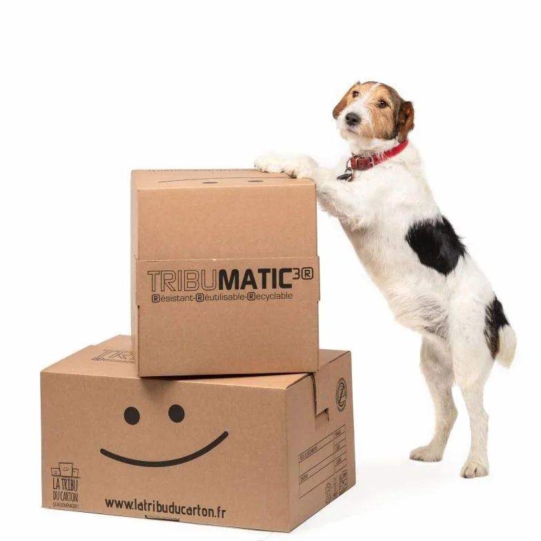 Tribumatic Carton automatique Grand volume