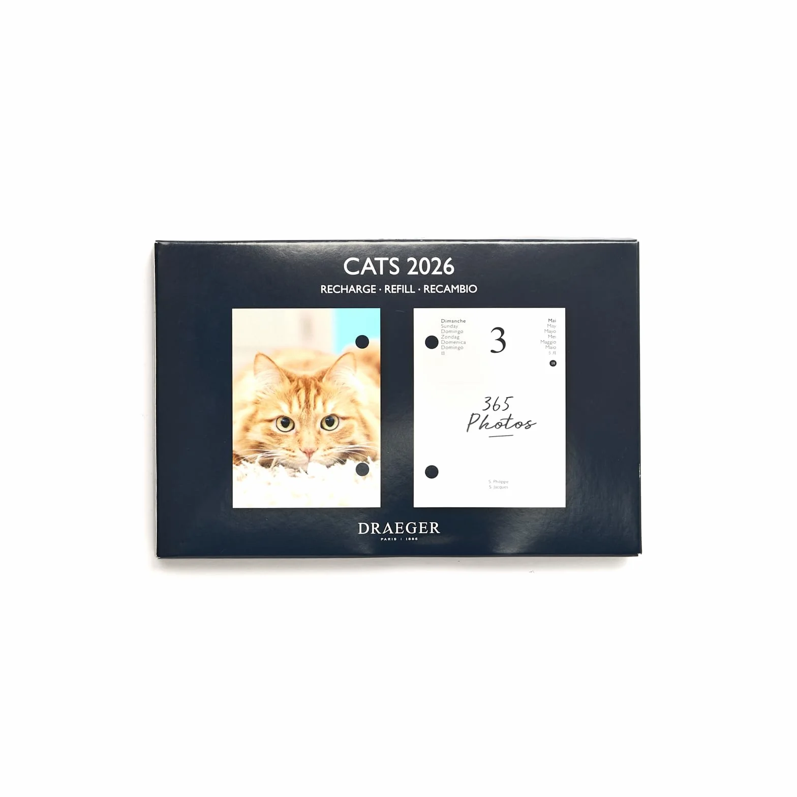 DRAEGER PARIS 1886 Recharge Agenda 16x10 cm 2026 Thème Chats 12 mois Papier FSC