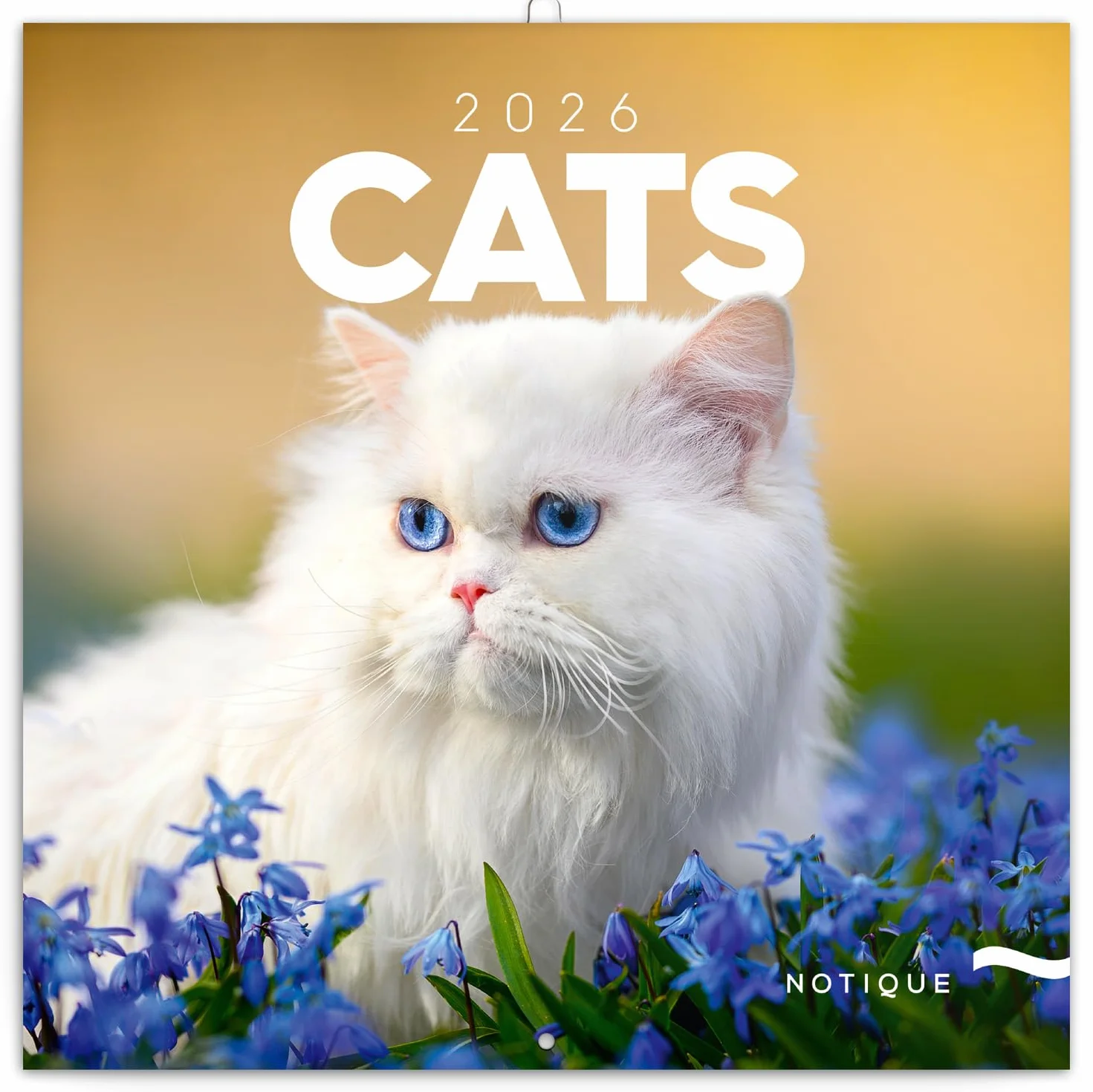 NOTIQUE Calendrier mural 2026 30x30 cm chats motif mensuel brochure