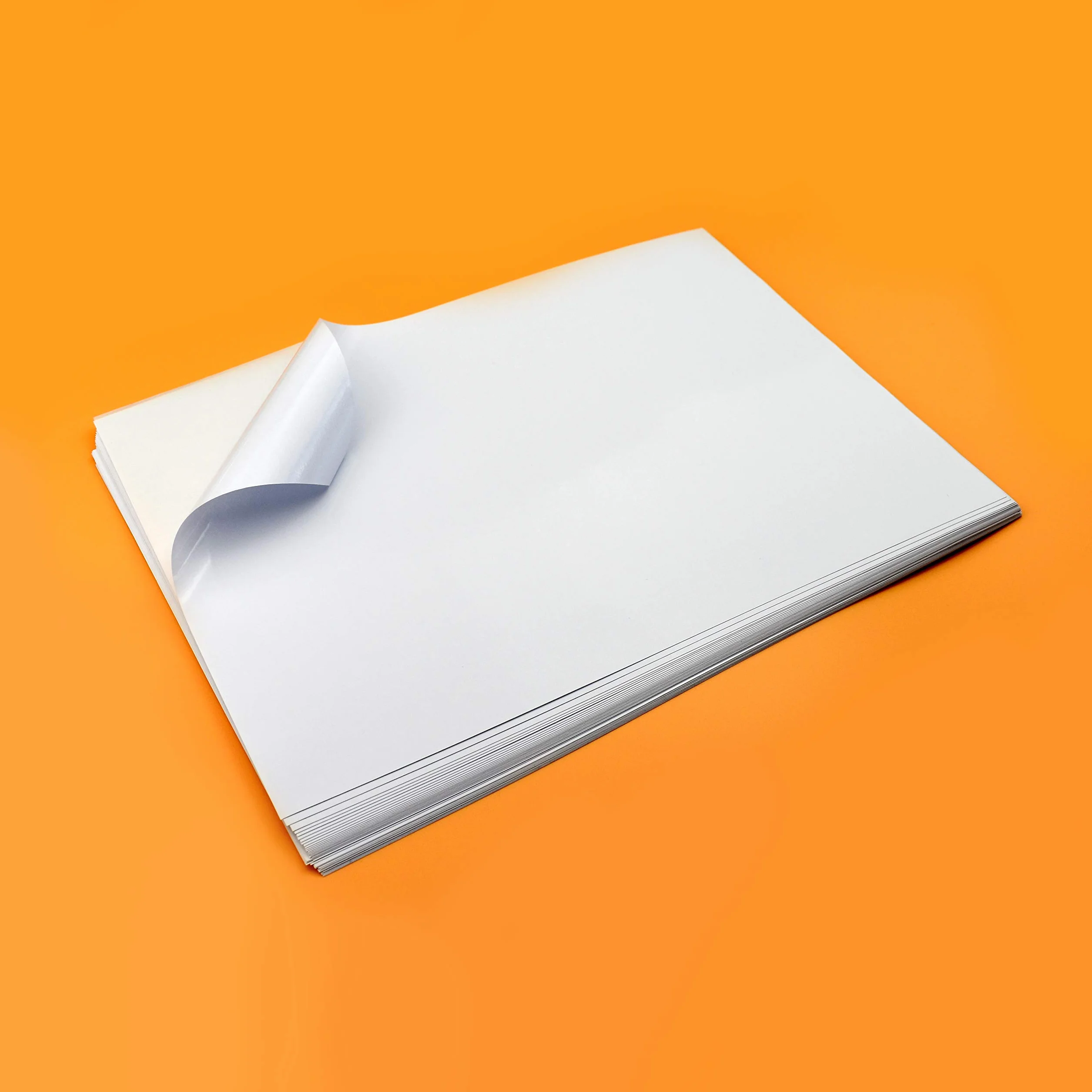 Evergreen Goods A3 100 feuilles Papier Photo Autocollant Blanc Brillant Imperméable