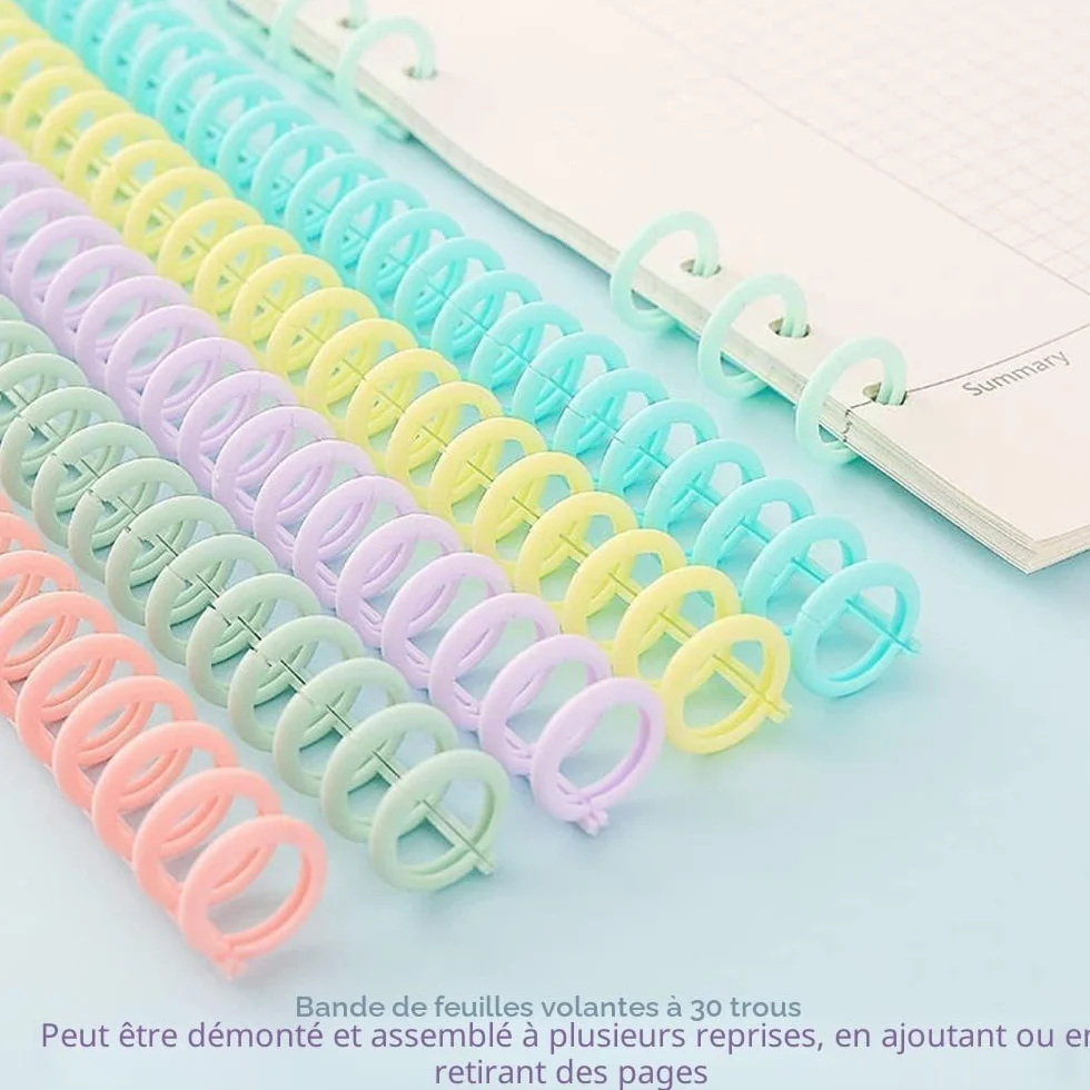 Voarge Lot de 10 Classeurs Plastique 30 Trous avec Anneaux Reliure, 85 Feuilles, 12 mm