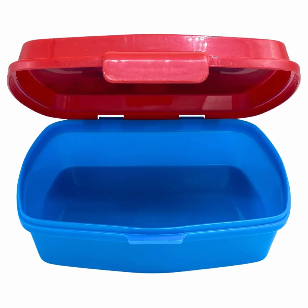Pokemon Boîte à Déjeuner pour Enfants, Lunchbox Portable 18x5x13 CM