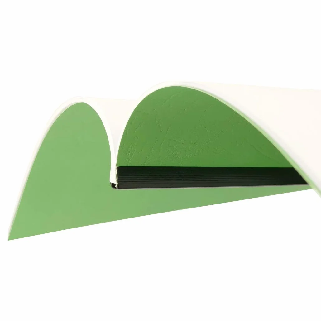 D.RECT Lot 100 feuilles imitation cuir A4 Vert