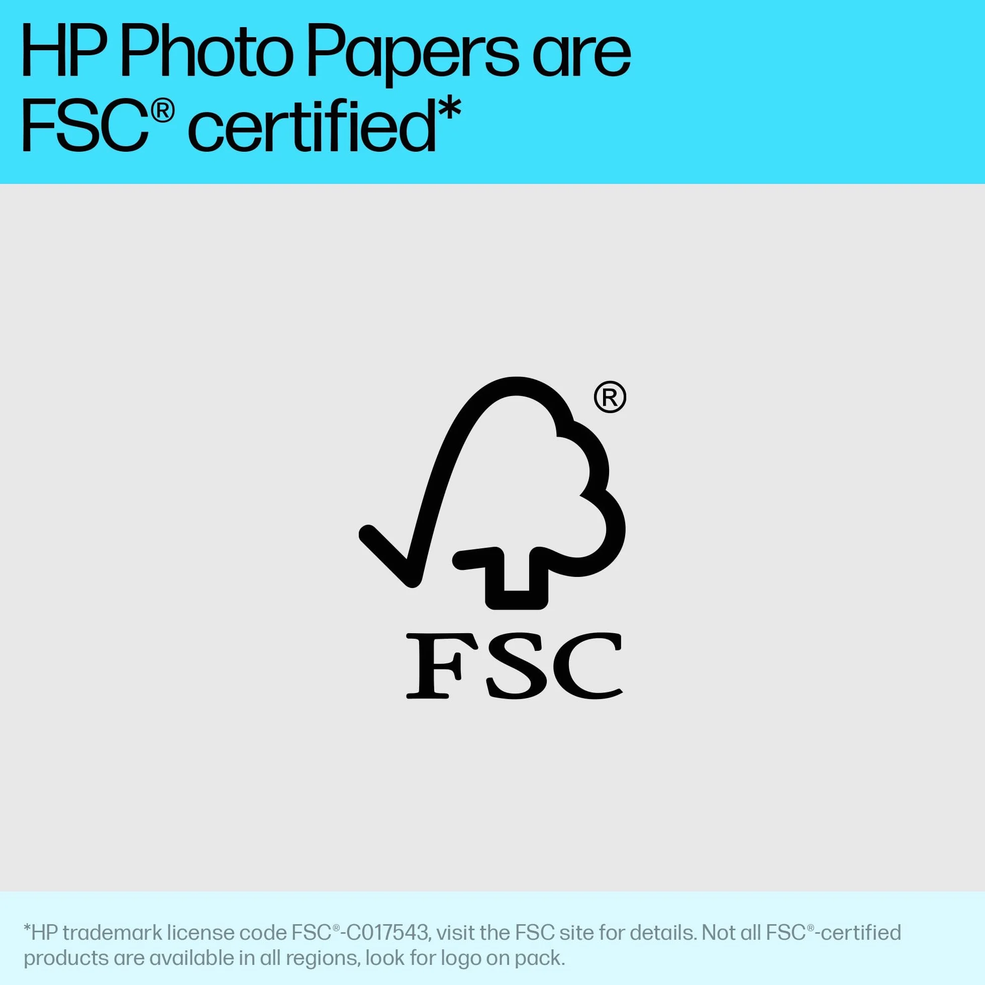 HP Papier photo Everyday brillant 200 g/m2 10 x 15 cm 100 feuilles compatible InkJet