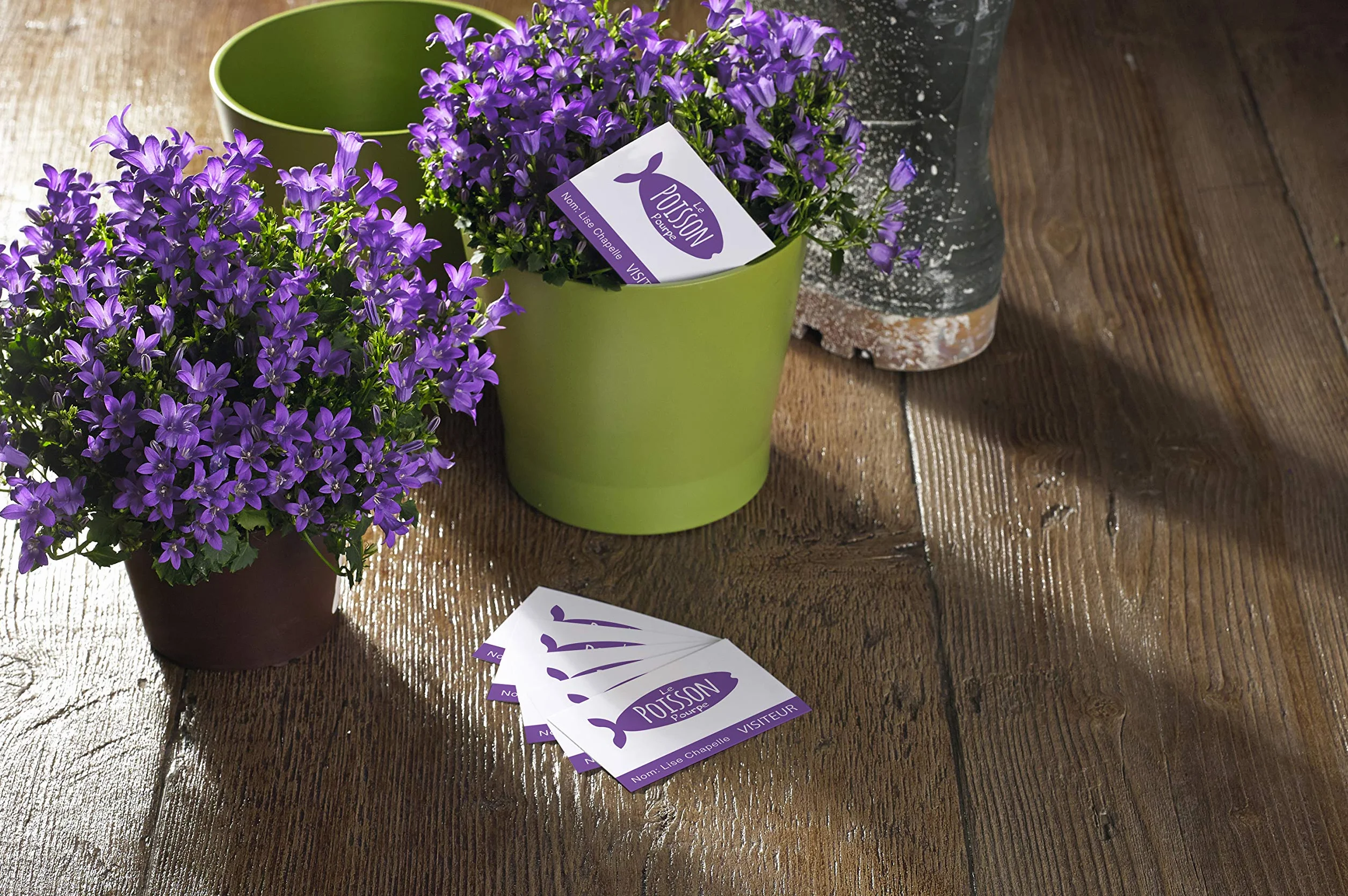 AVERY Pochette cartes de visite 250 pièces 85x54 mm 270g/m² satinée recto verso impression laser