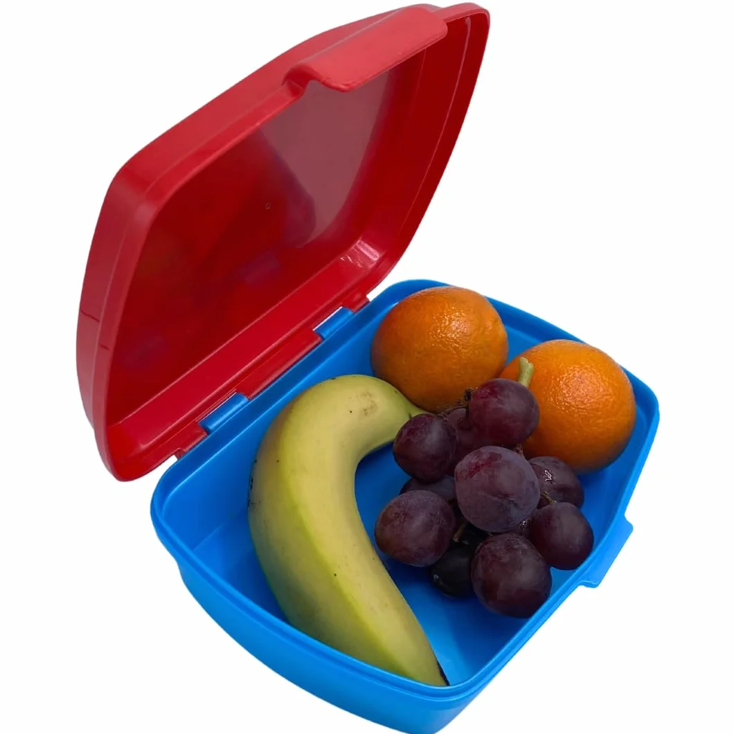 Pokemon Boîte à Déjeuner pour Enfants, Lunchbox Portable 18x5x13 CM