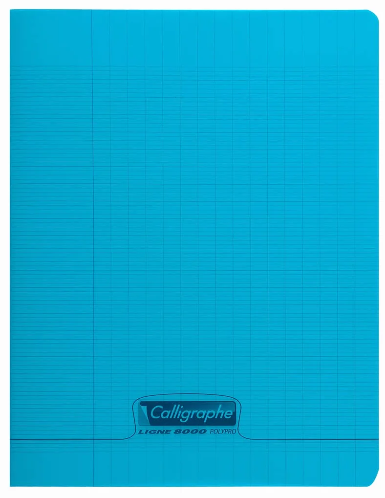 Calligraphe 18060AMZC Lot de 9 Cahiers Agrafés 24x32 cm 48 Pages Grands Carreaux Papier Blanc 90 g Couverture Polypro