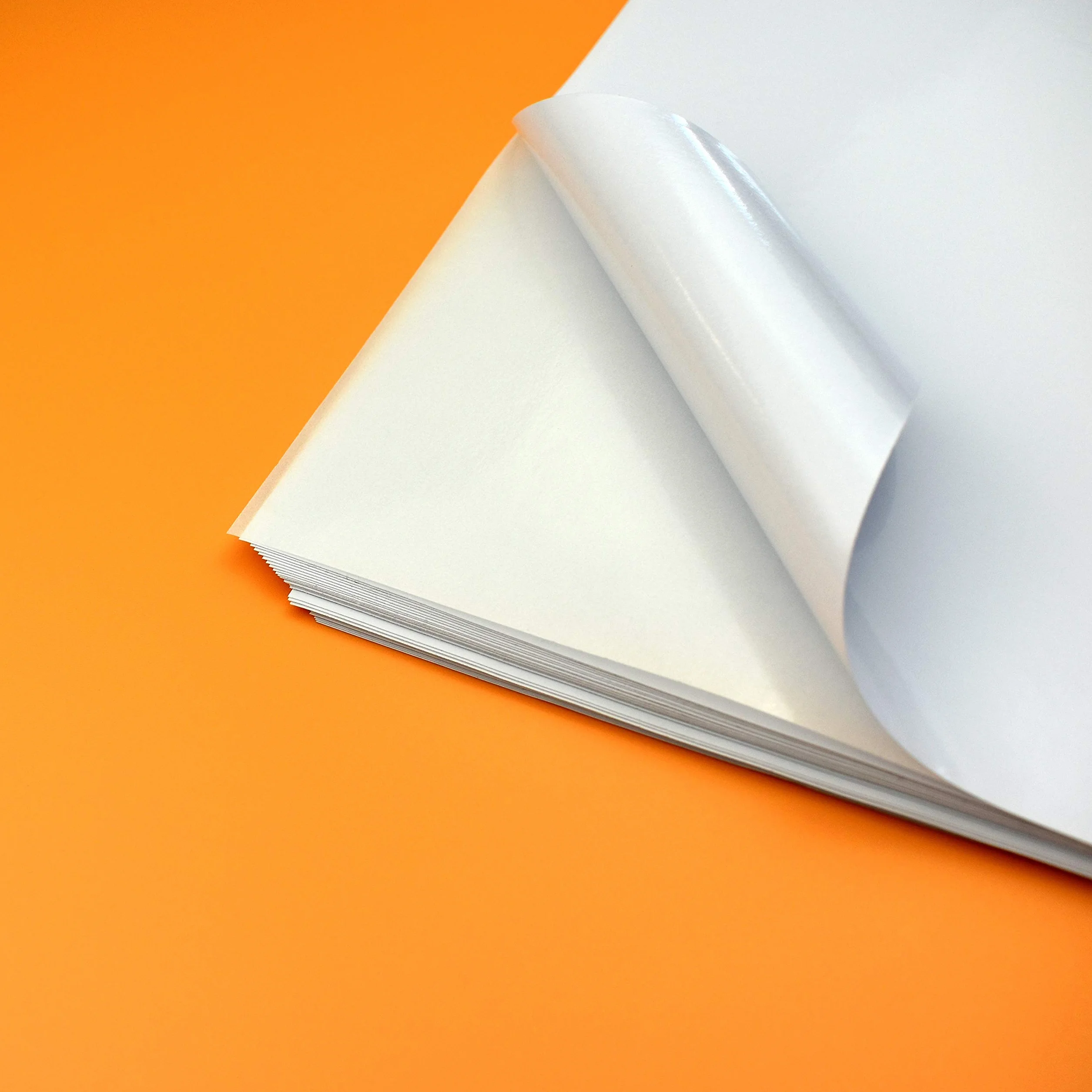 Evergreen Goods A3 100 feuilles Papier Photo Autocollant Blanc Brillant Imperméable