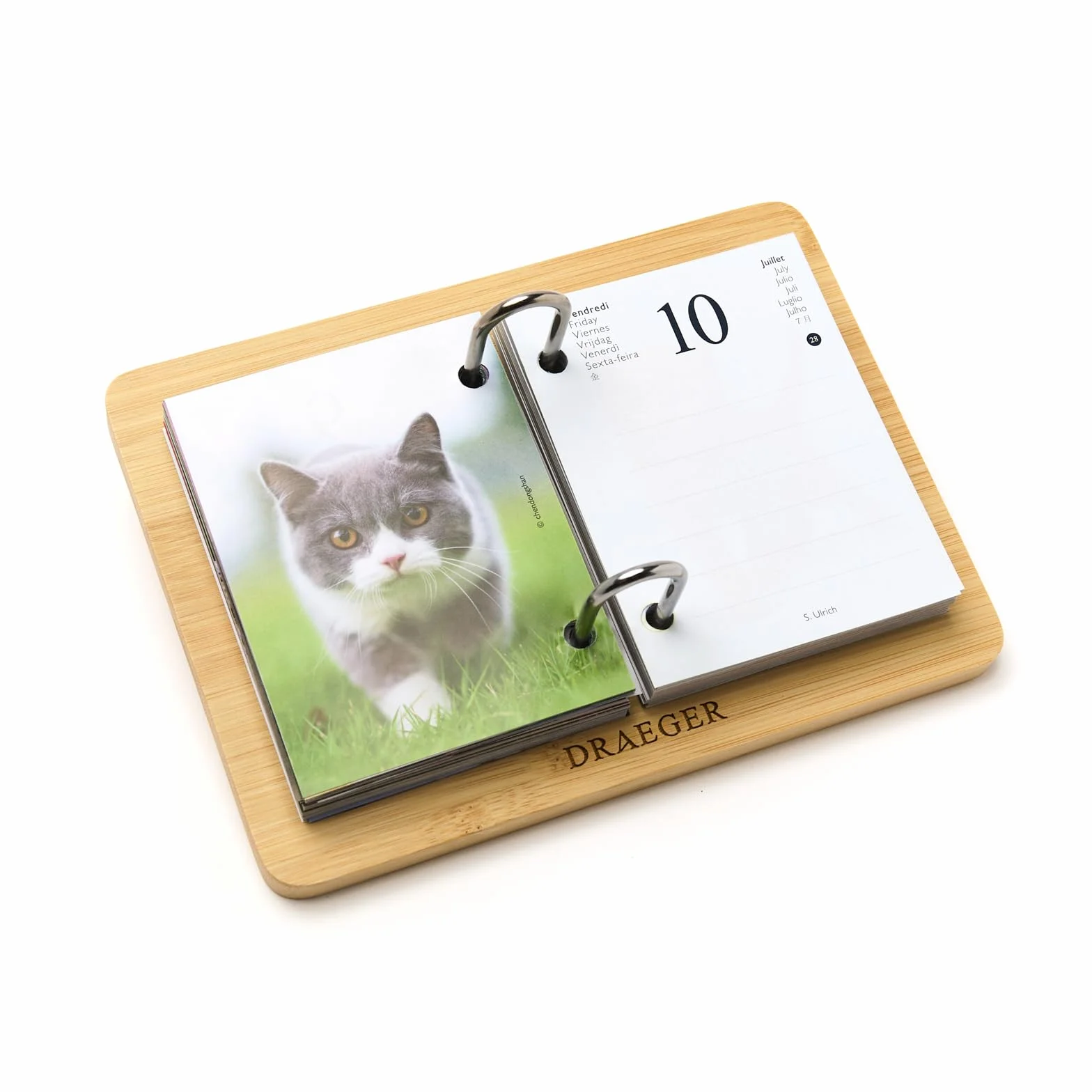 DRAEGER PARIS 1886 Recharge Agenda 16x10 cm 2026 Thème Chats 12 mois Papier FSC
