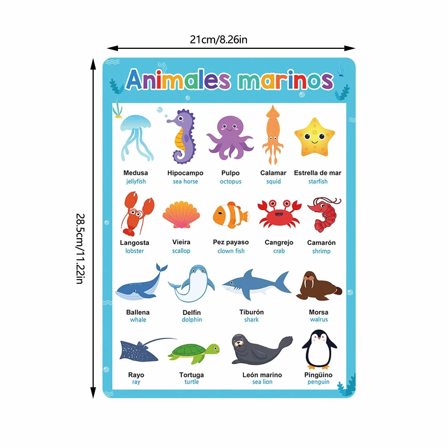 Affiches éducatives vocabulaire 29 x 21 cm Lot de 10 Décoration murale salle de classe enfants préscolaire