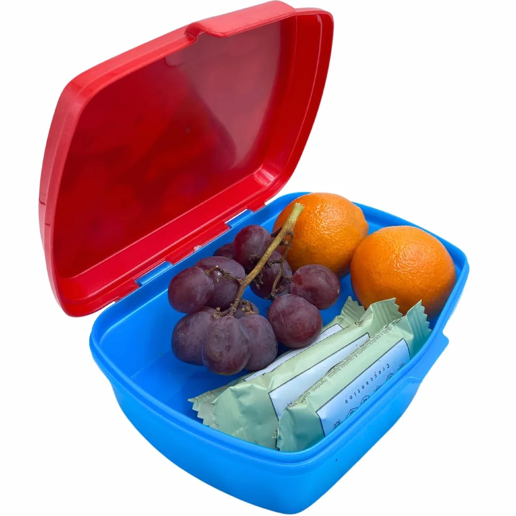 Pokemon Boîte à Déjeuner pour Enfants, Lunchbox Portable 18x5x13 CM