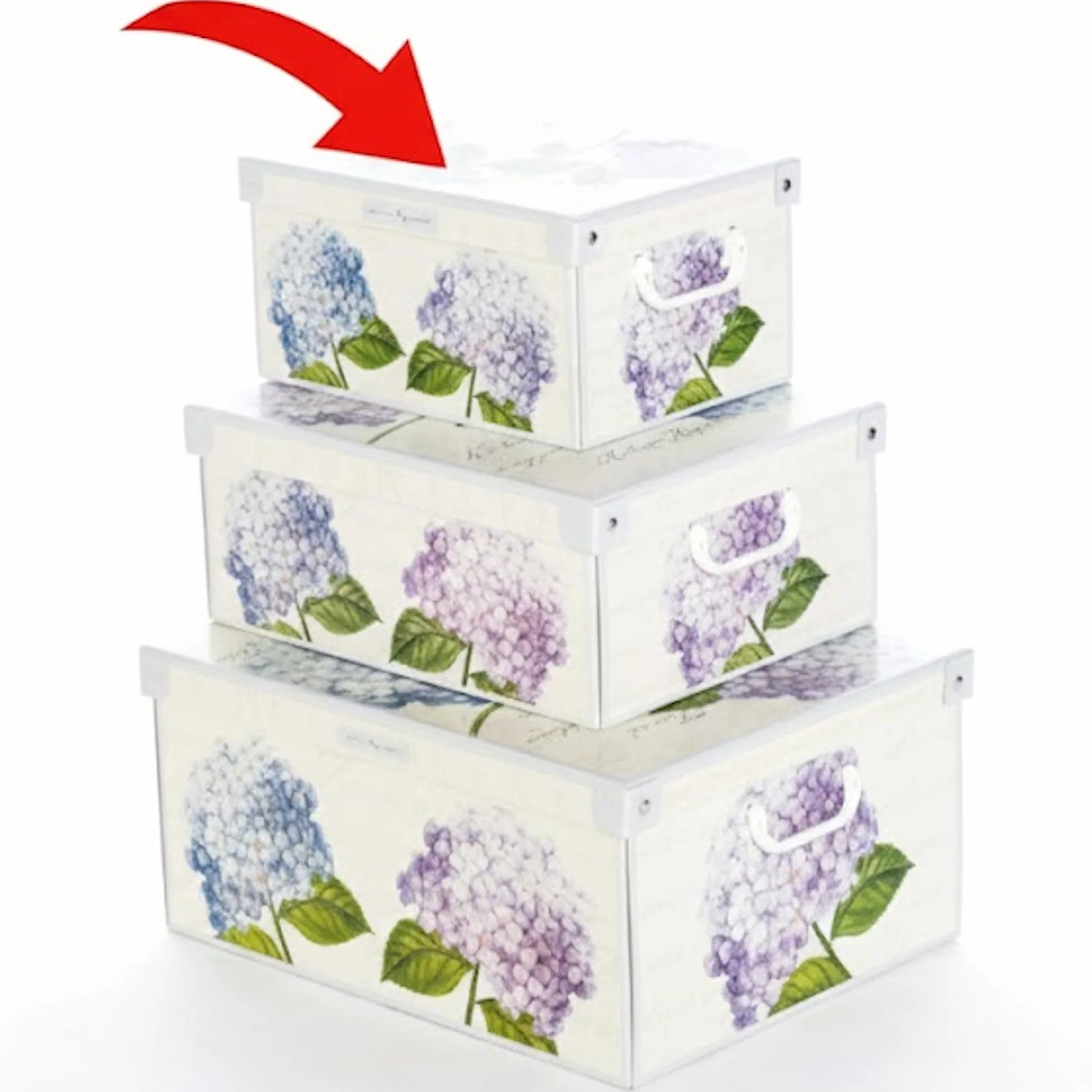 Lavatelli Collection Ortensie Hortensias Boite de Rangement en Carton avec Couvercle, Small