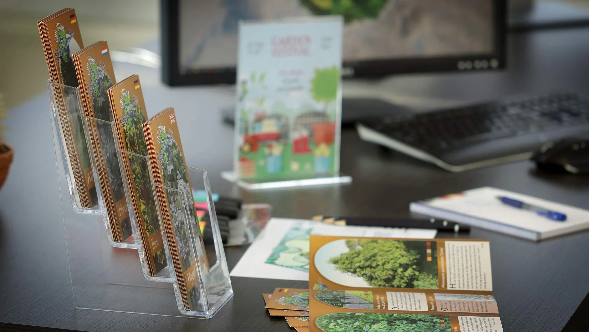 EUROPEL Porte-brochures multicases acrylique transparent 4 compartiments 1/3 A4 présentoir mural