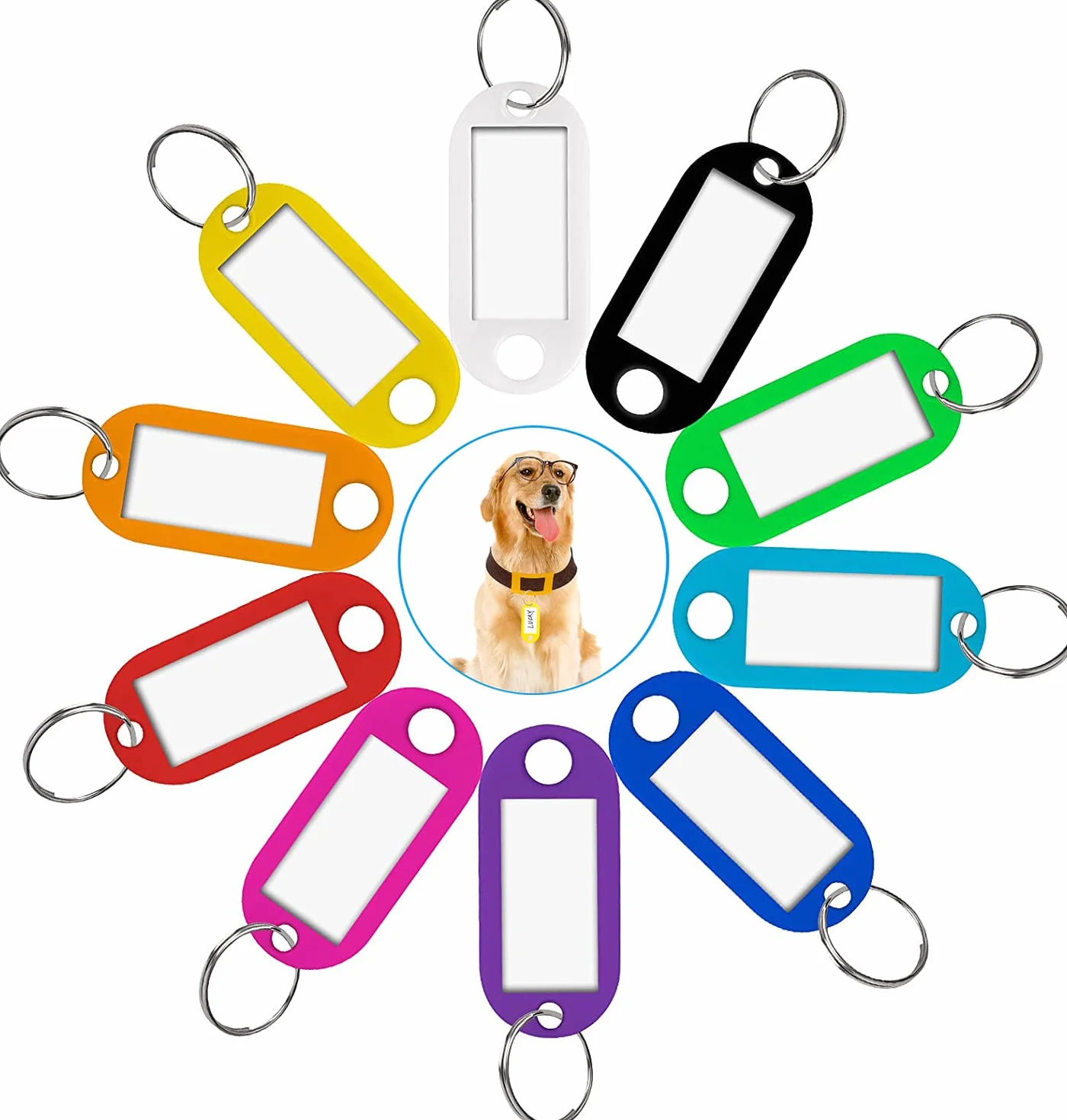 Porte Clés Inscriptibles 10 Couleurs Étiquettes D'identification