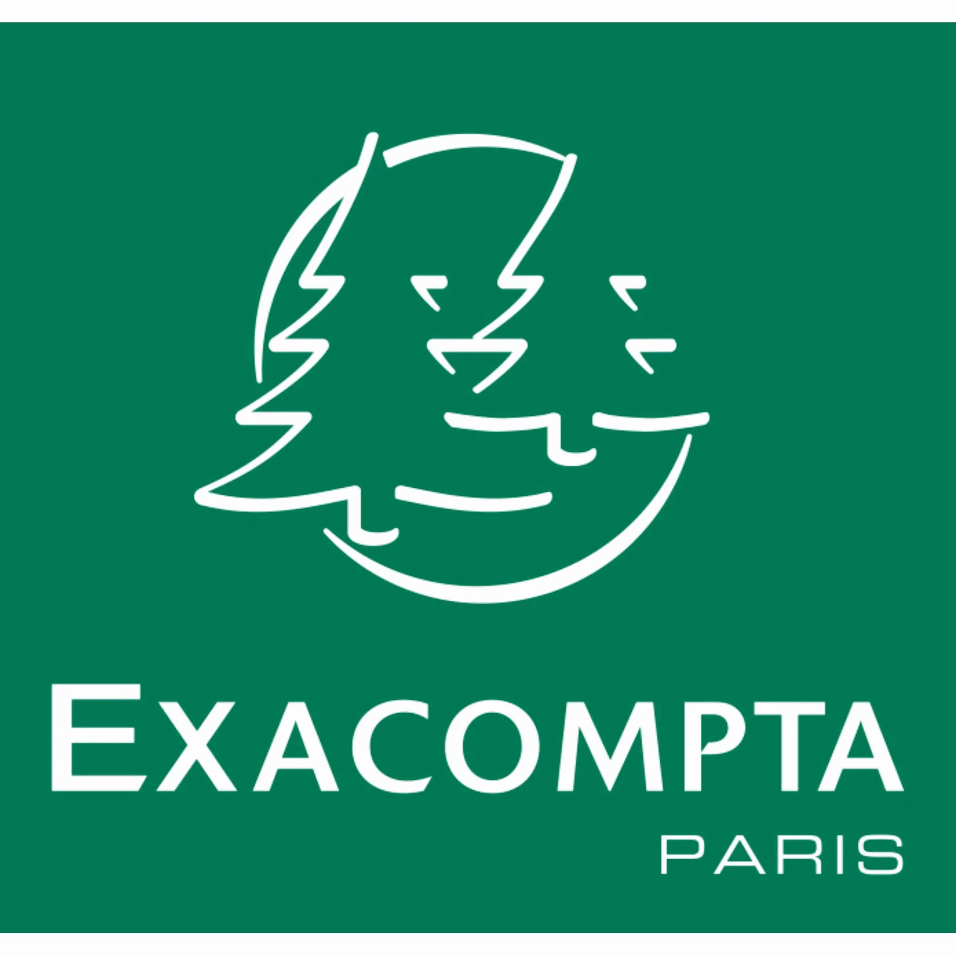 Exacompta Paquet de 10 chemises à élastiques pochettes 3 rabats carte lustrée 400 g/m2 24 x 32 cm A4 10 couleurs assorties