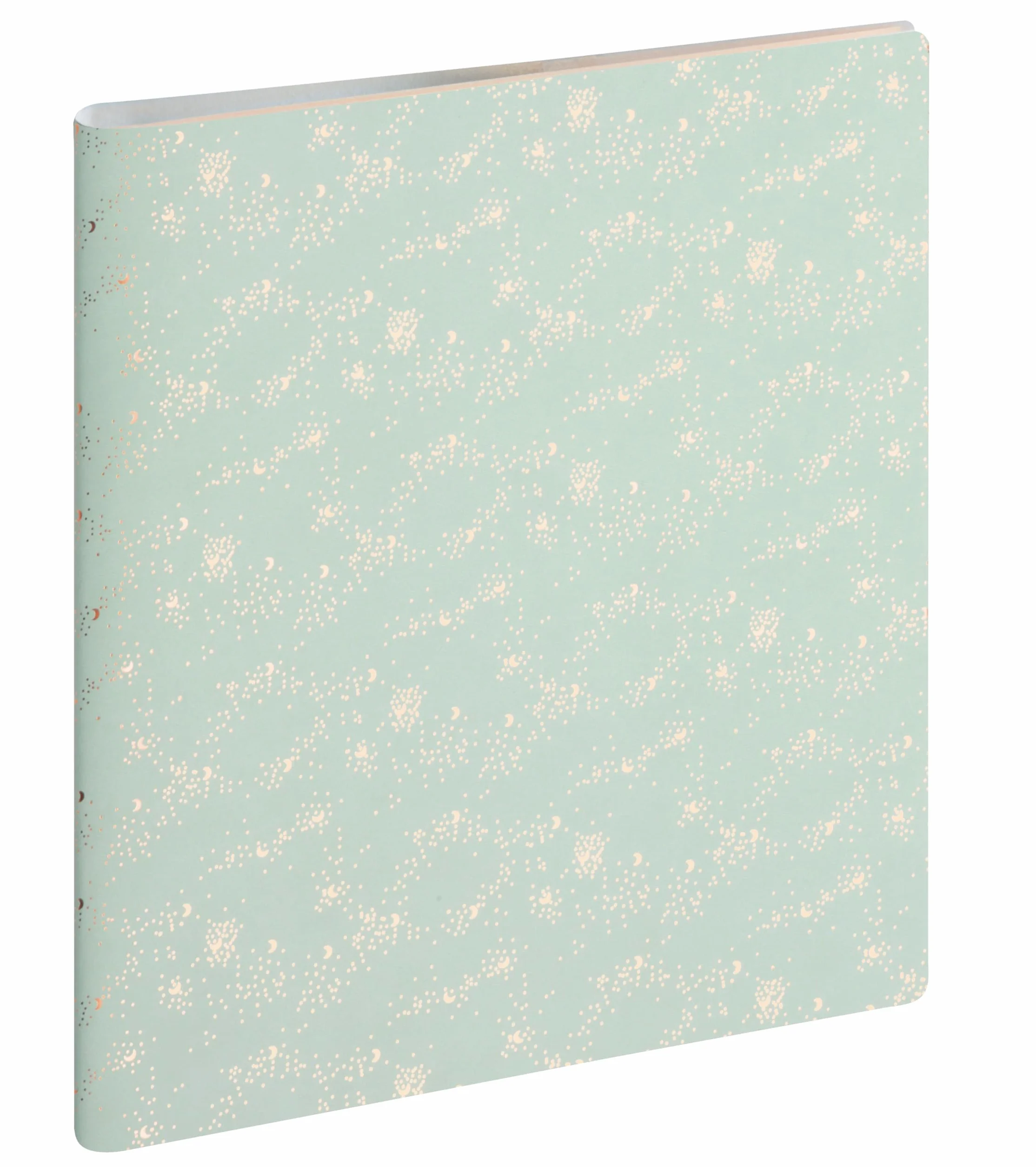 Exacompta Agenda de bureau SAD 22S Méline 18.5 x 22.5 cm Semainier 16 mois Vert d'eau