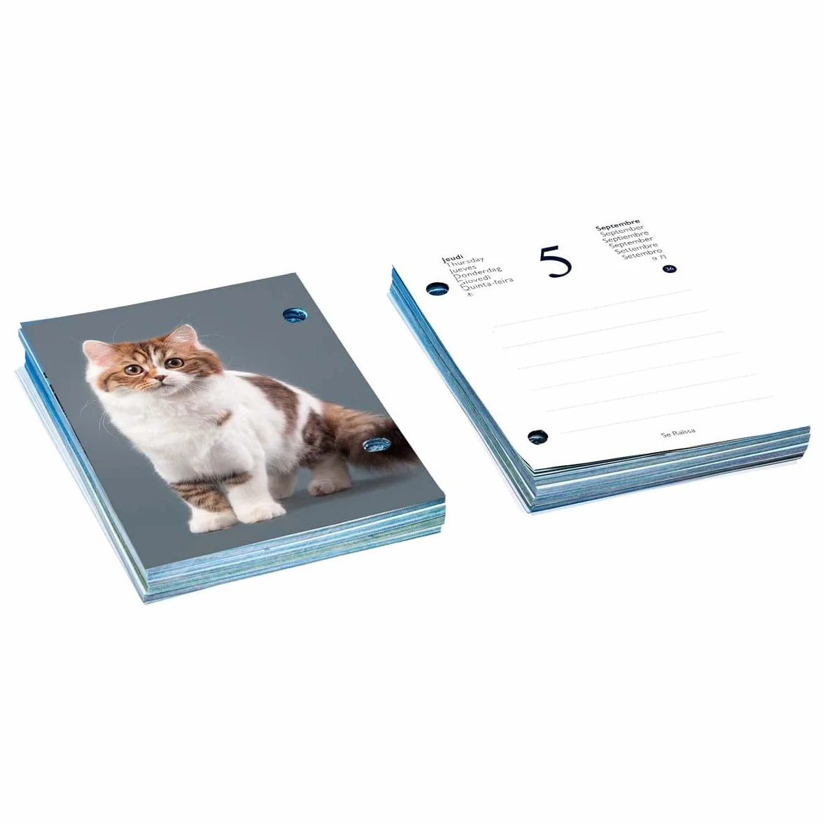 DRAEGER PARIS 1886 Recharge Éphéméride Agenda Yvon 2024-365 Feuillets Photos Chats Multilingue Français Anglais Espagnol Compatible Socle Bambou 11x1.5x16cm