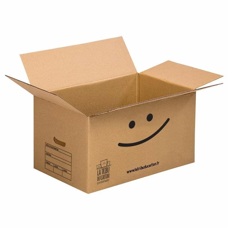 LA TRIBU DU CARTON Kit 10 cartons standard avec poignées