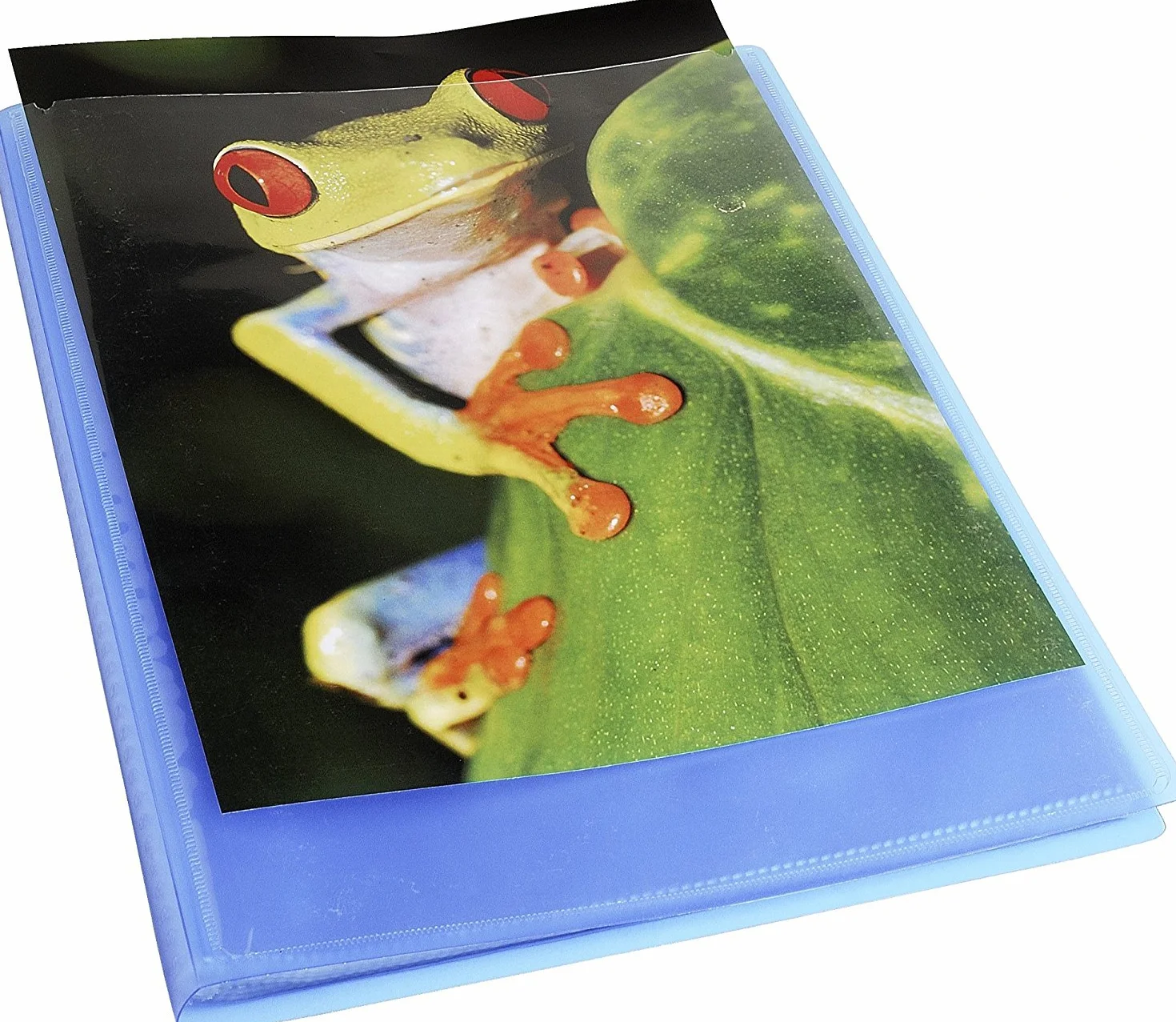 Exacompta Kreacover Chromaline 5722E Protège-documents A4 24x32 cm 40 vues 20 pochettes bleu