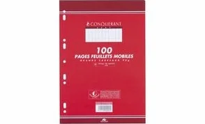HAMELIN CONQUERANT Sept Feuillets mobiles couleur rose 170 x 220 mm 80 g 100 pages SEYES