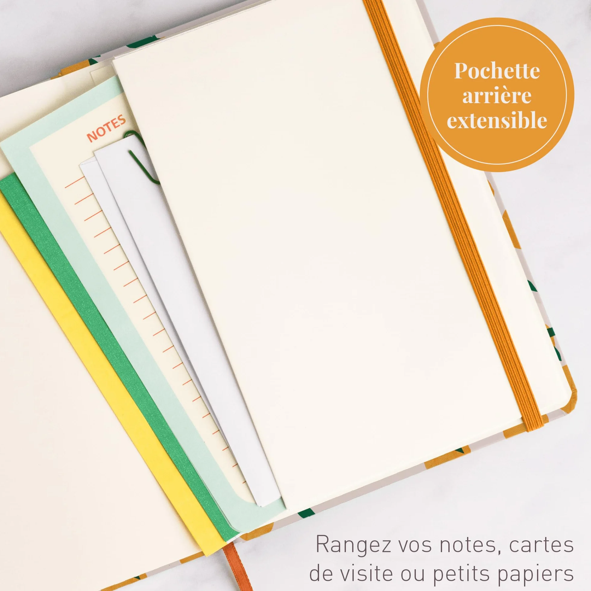 Rileys & Co Carnet Pointillé Citron 20,3 x 15,2 cm Couverture Rigide 240 Pages Bullet Journal Dotted Papier 80 g/m²