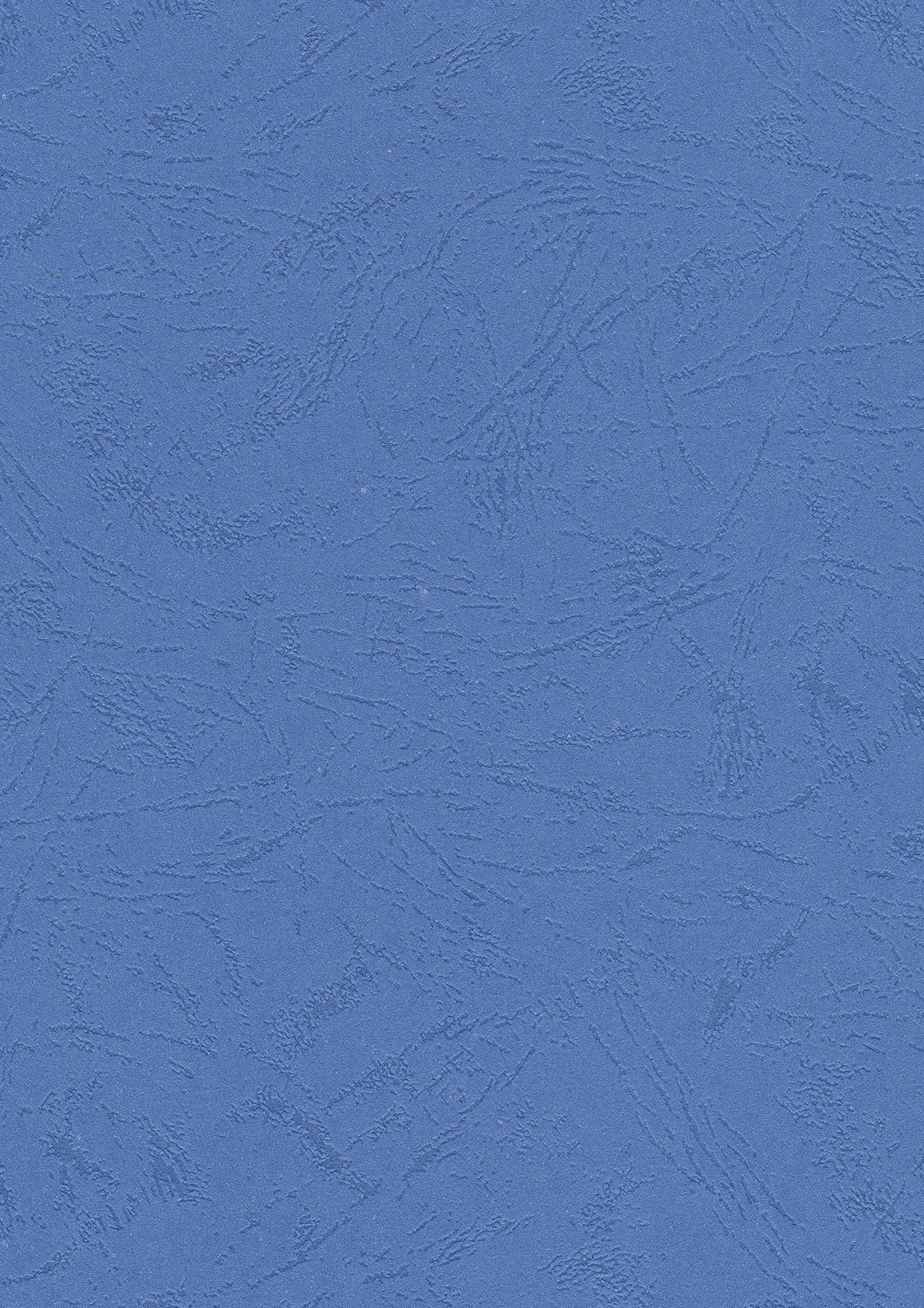 Plats de couverture A4 grain cuir 250 g Paquet de 100 Bleu