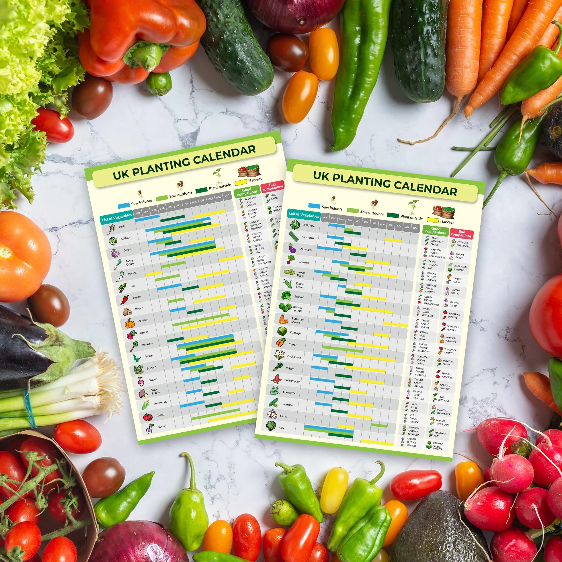 Calendrier de Plantation Jardinage Lotissement – Guide Semis Récolte Réutilisable – Poster Imperméable Serre Abri Jardin