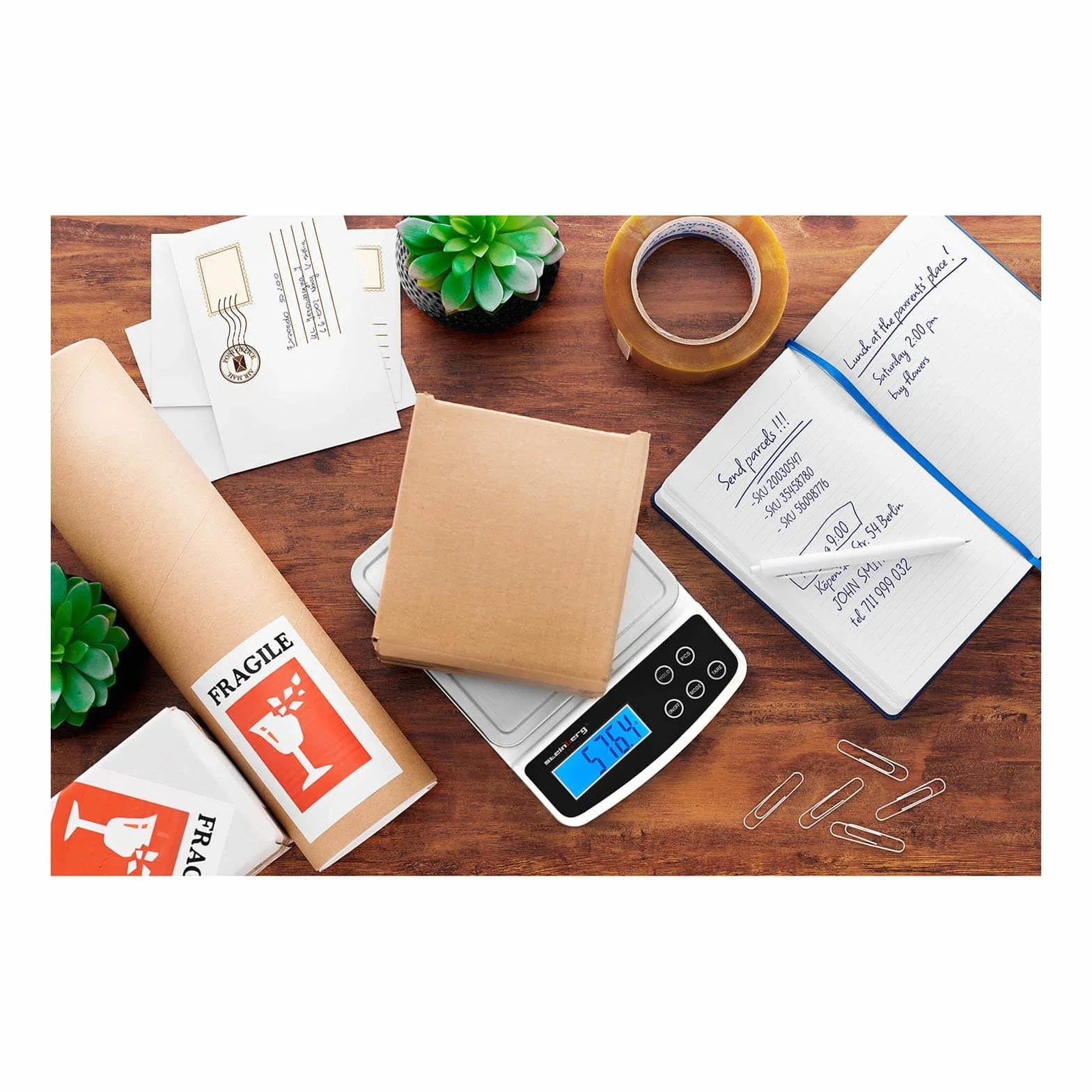 Steinberg SBS-LW-5000/100 Balance Poste Digitale Professionnelle 5 kg 0,1 g 15,2 x 15,2 cm