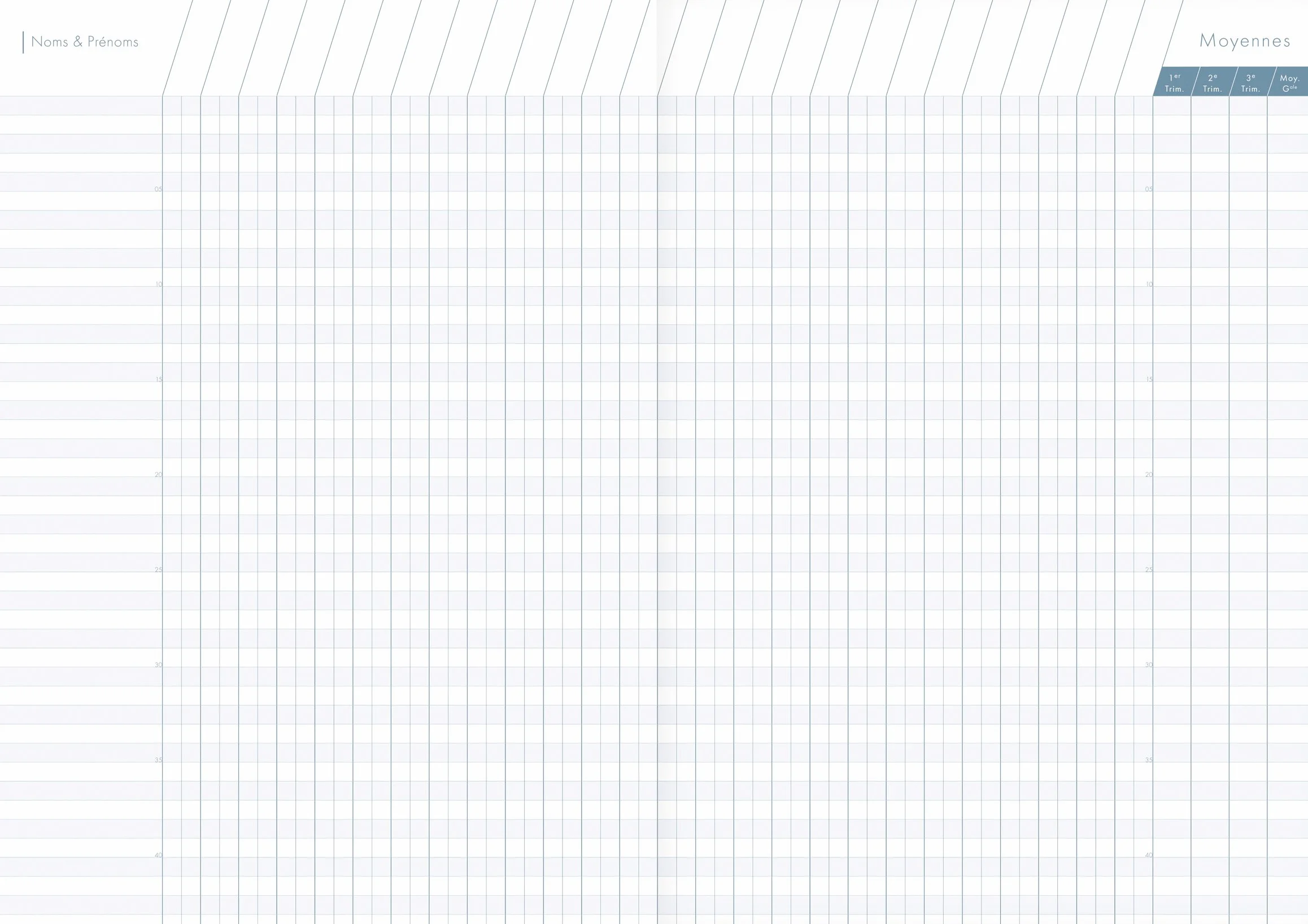 Clairefontaine 9069C Agenda de Bord Brochure Souple 6 Colonnes A4 21x29,7 cm 144 Pages Papier Blanc 90 g Couverture Carte Pelliculée