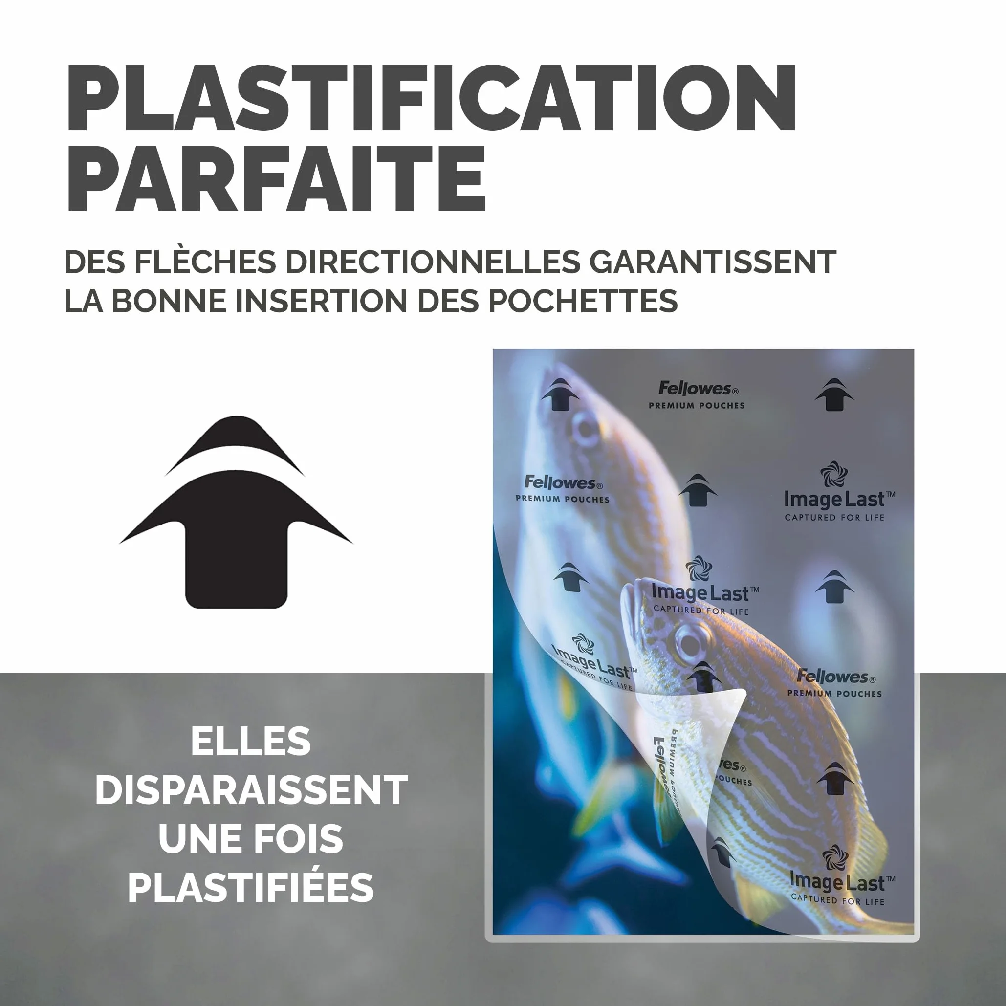 Fellowes Pochette De Plastification A4 80 microns Pack 100 Feuilles Plastifieuse Technologie ImageLast Finition Brillante