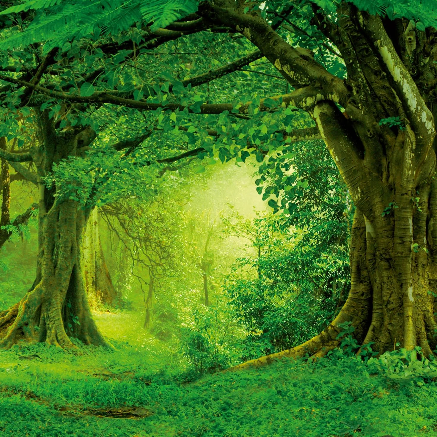 NOTIQUE Calendrier mural 2026 Forêt tropicale 30 x 30 cm 30 x 60 cm ouvert