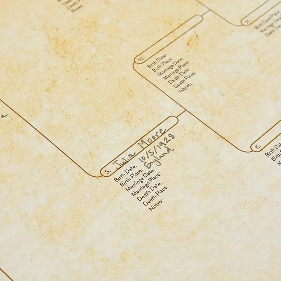 Tableau généalogique 8 générations à remplir vierge