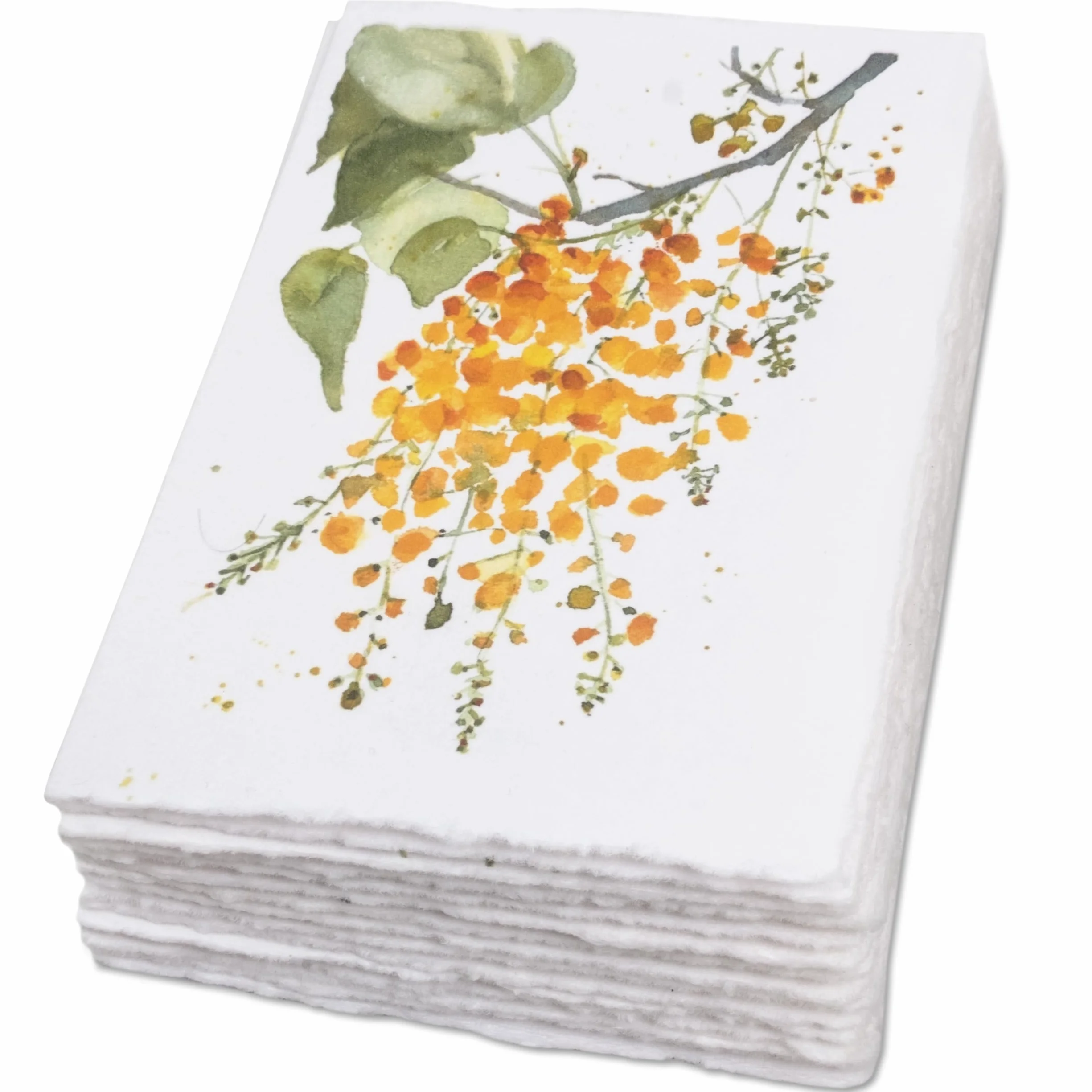 WANDERINGS Cartes de Vœux Vierges Artisanales 300 GSM 13x18 cm 20 Cartes avec Enveloppes Motifs Floraux