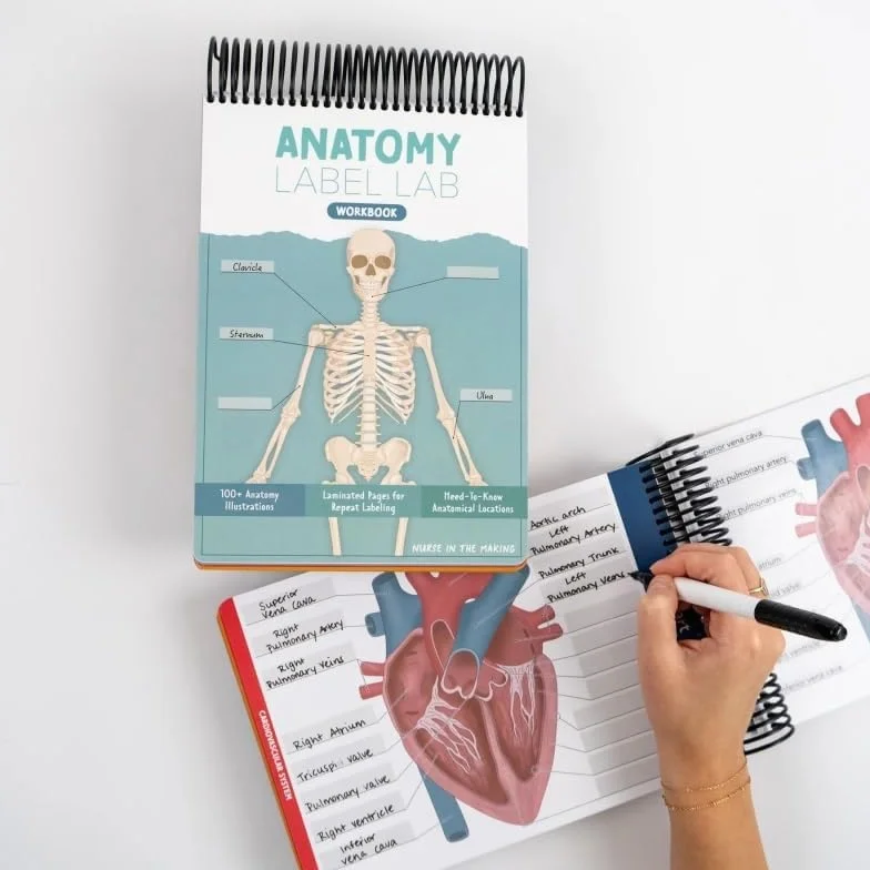 Cahier d'exercices de laboratoire d'anatomie - Anatomie humaine - Plus de 100 pages effaçables à sec, outils d'étude de physiologie
