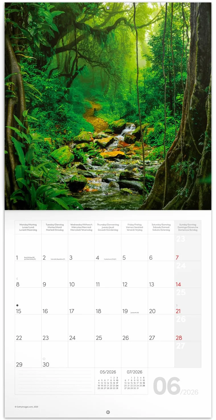 NOTIQUE Calendrier mural 2026 Forêt tropicale 30 x 30 cm 30 x 60 cm ouvert