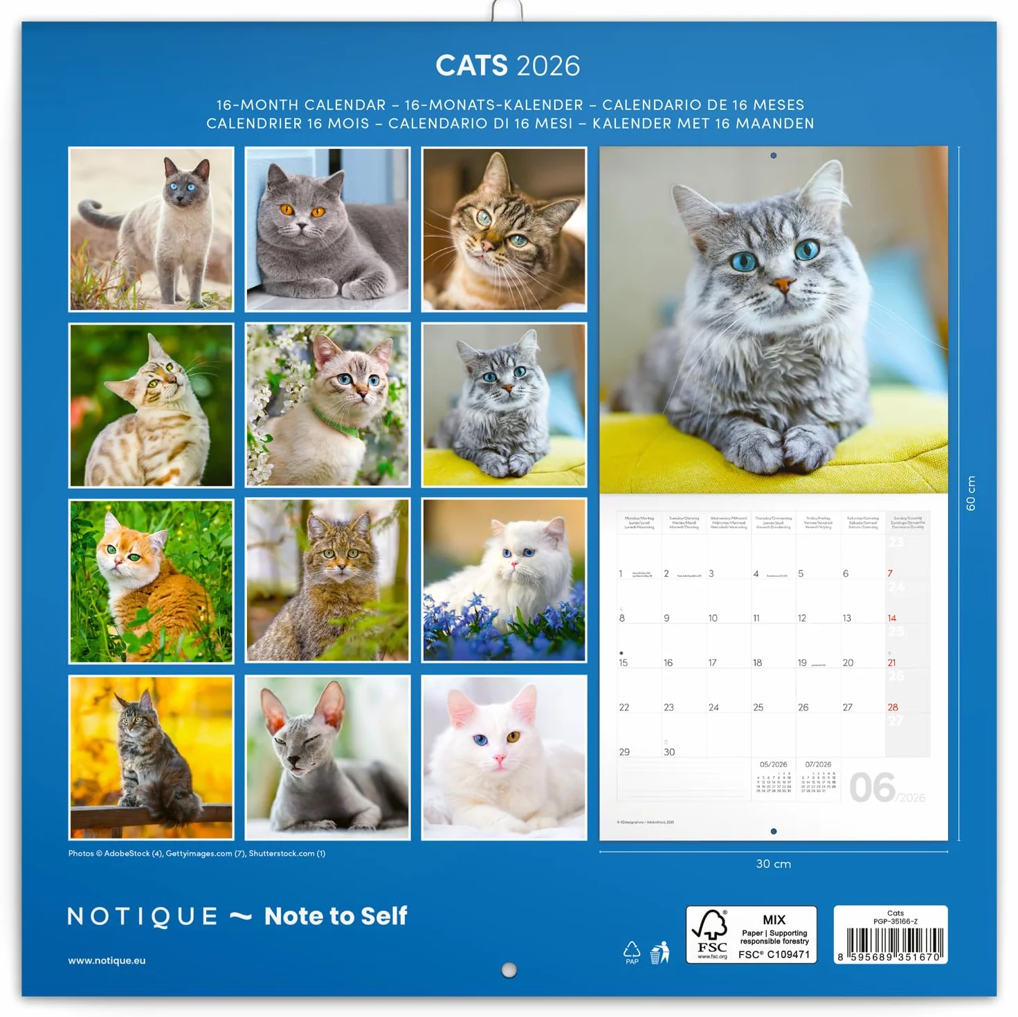 NOTIQUE Calendrier mural 2026 30x30 cm chats motif mensuel brochure