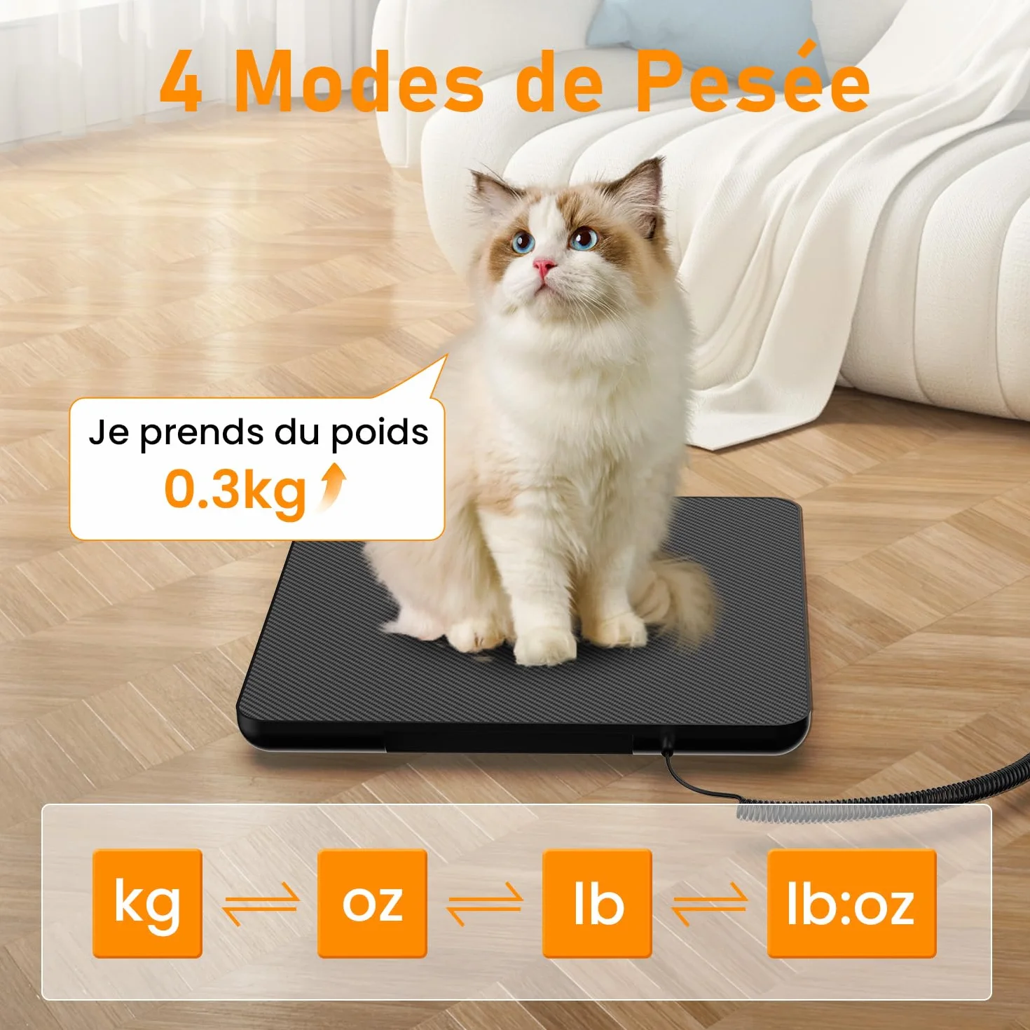 Balance Colis Pese Personne 200kg, Balance Professionnelle de Precision avec Fonction Maintien & Tare, Pese Colis et Bagages avec Écran LCD Mural, Secteur ou Batterie