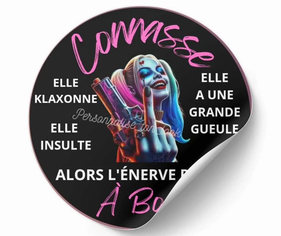 Autocollant de Voiture Humoristique Connasse à Bord Sticker Drôle Harley Q