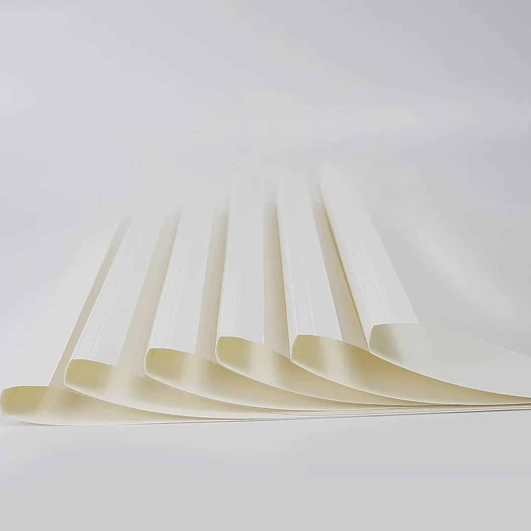 RAYSON Couvertures de Reliure Thermique A4 100 Feuilles 12 mm Blanc Paquet de 25