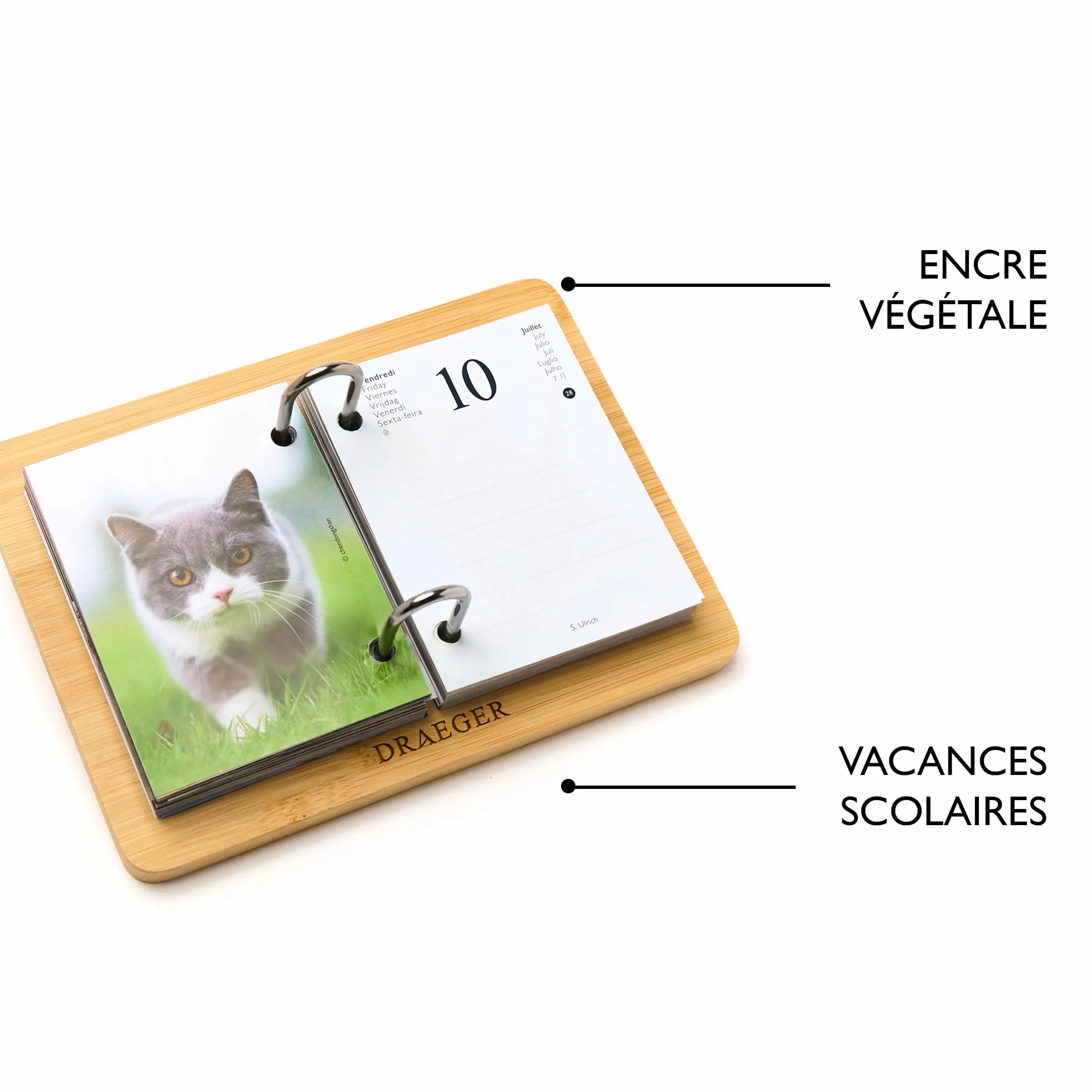 DRAEGER PARIS 1886 Recharge Agenda 16x10 cm 2026 Thème Chats 12 mois Papier FSC