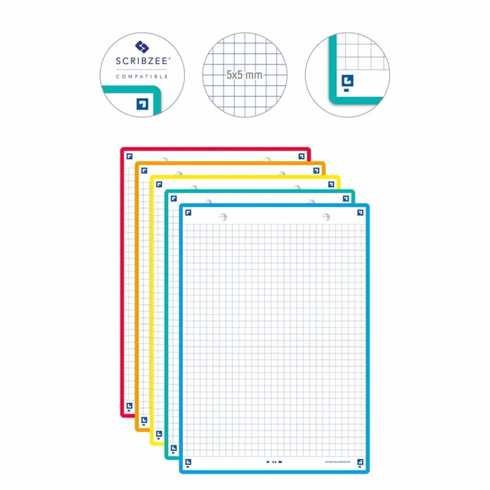 OXFORD Lot de 50 Fiches bristol A5 petits carreaux Recto/Verso Couleurs Assorties
