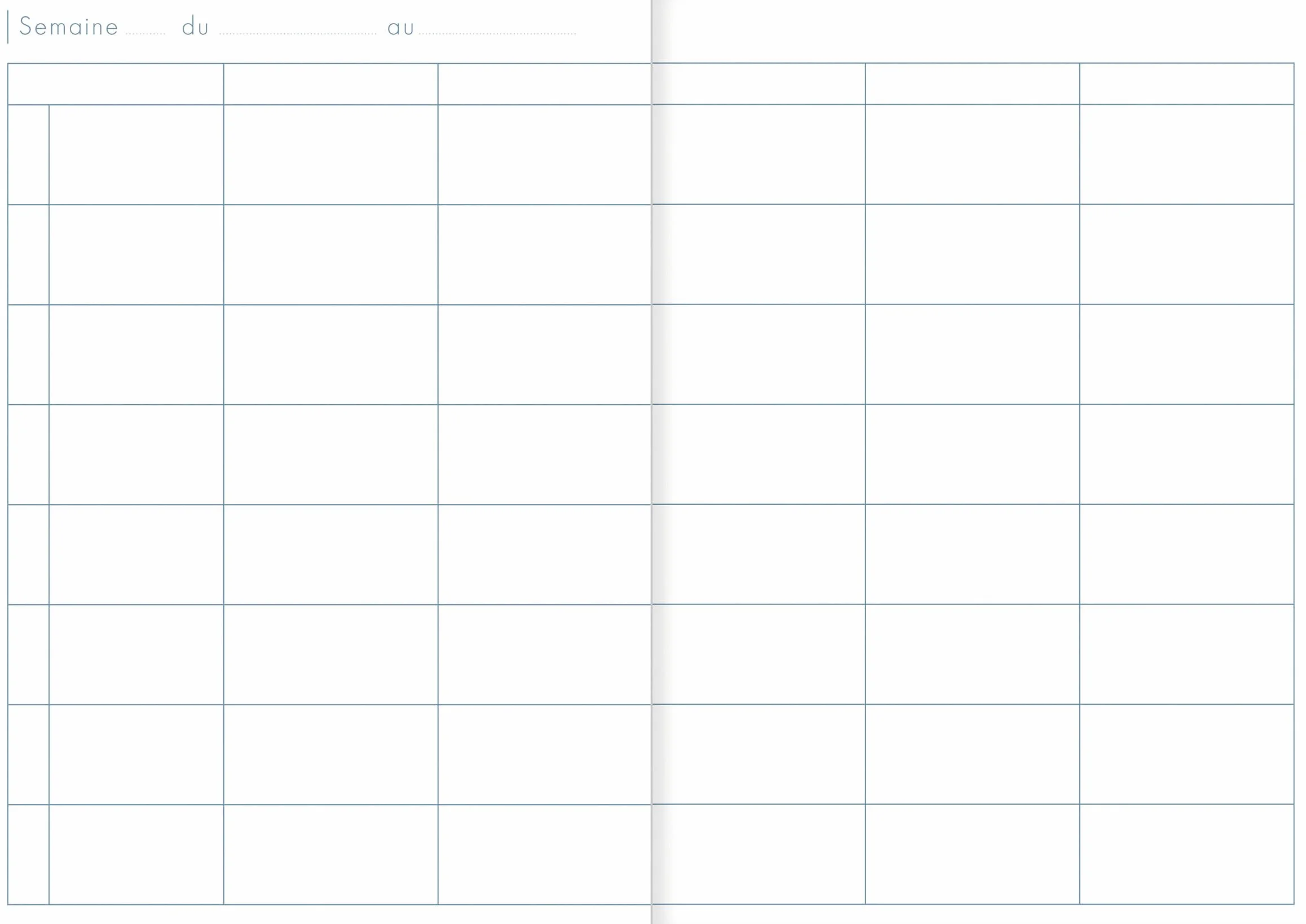 Clairefontaine 9069C Agenda de Bord Brochure Souple 6 Colonnes A4 21x29,7 cm 144 Pages Papier Blanc 90 g Couverture Carte Pelliculée
