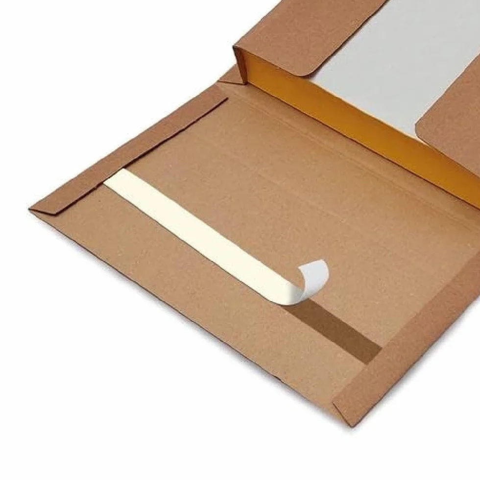Blasetti Book Box S carton micro-ondes 20 unités dimensions intérieures 26 x 14,5 x 5 cm
