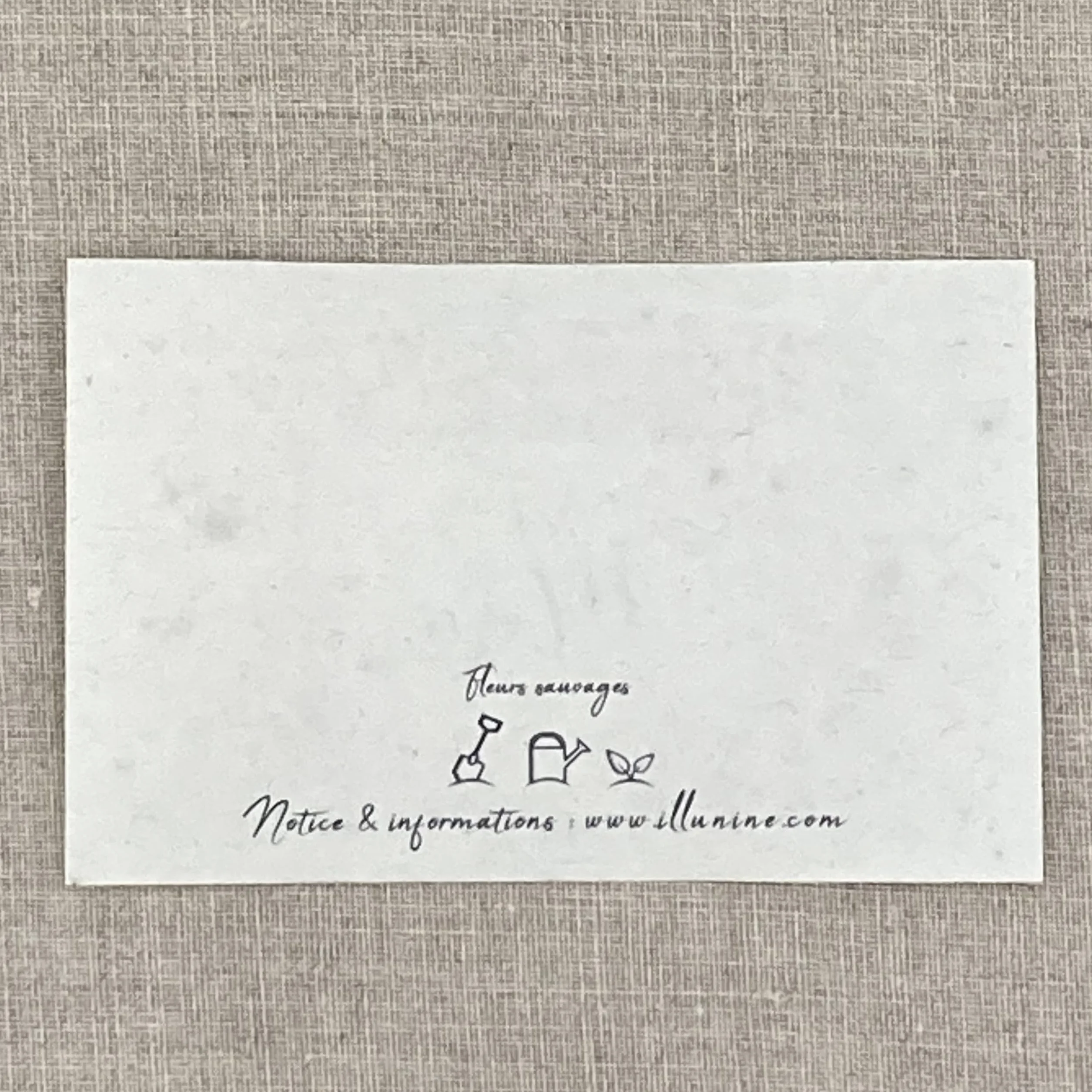 Lot de 10 mini cartes à planter Merci de m'avoir aidé a grandir