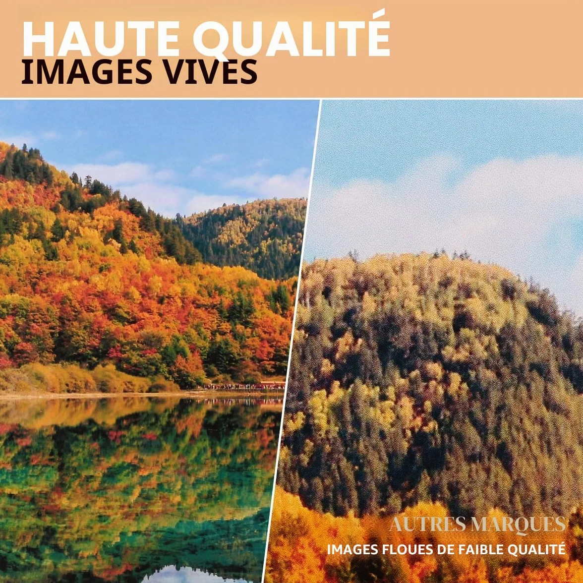 LLPT Papier Magnétique Imprimable 12 Feuilles Mat 15x21cm pour Imprimante Jet d'Encre