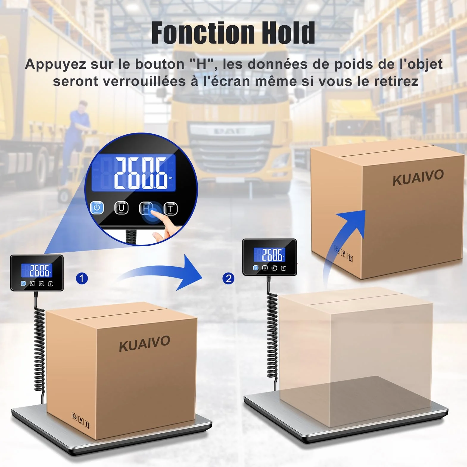 Balance Colis Numérique 300kg/20g avec Fonction Hold/Tare, Écran LCD Externe, Professionnelle pour Industrie et Entreprise
