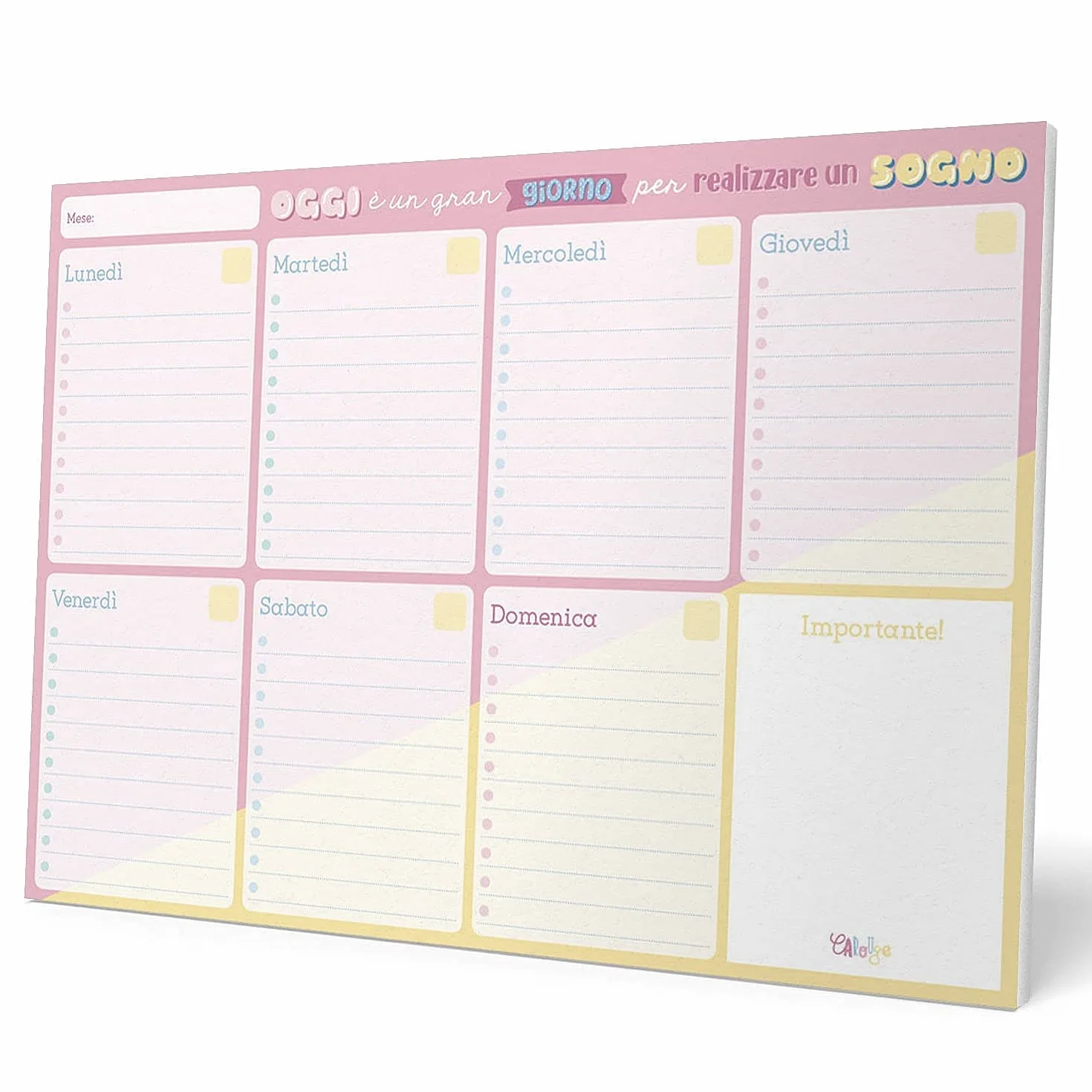 Grupo Erik Bloc Notes A4 Carouge Blue&Pink Semainier Sous-Main Bureau Planner Hebdomadaire Papeterie Bureau To Do List Blocs Mémo Fournitures Scolaires Version Italienne