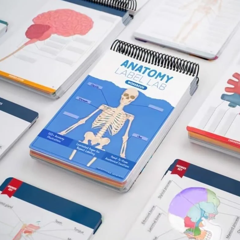 Cahier d'exercices de laboratoire d'anatomie - Anatomie humaine - Plus de 100 pages effaçables à sec, outils d'étude de physiologie