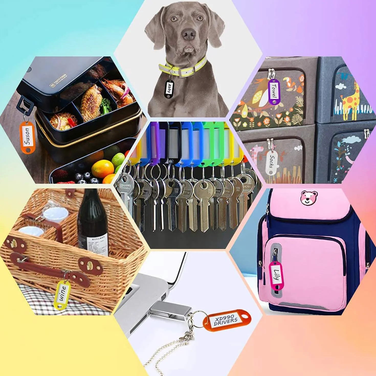 Porte Clés Inscriptibles 10 Couleurs Étiquettes D'identification